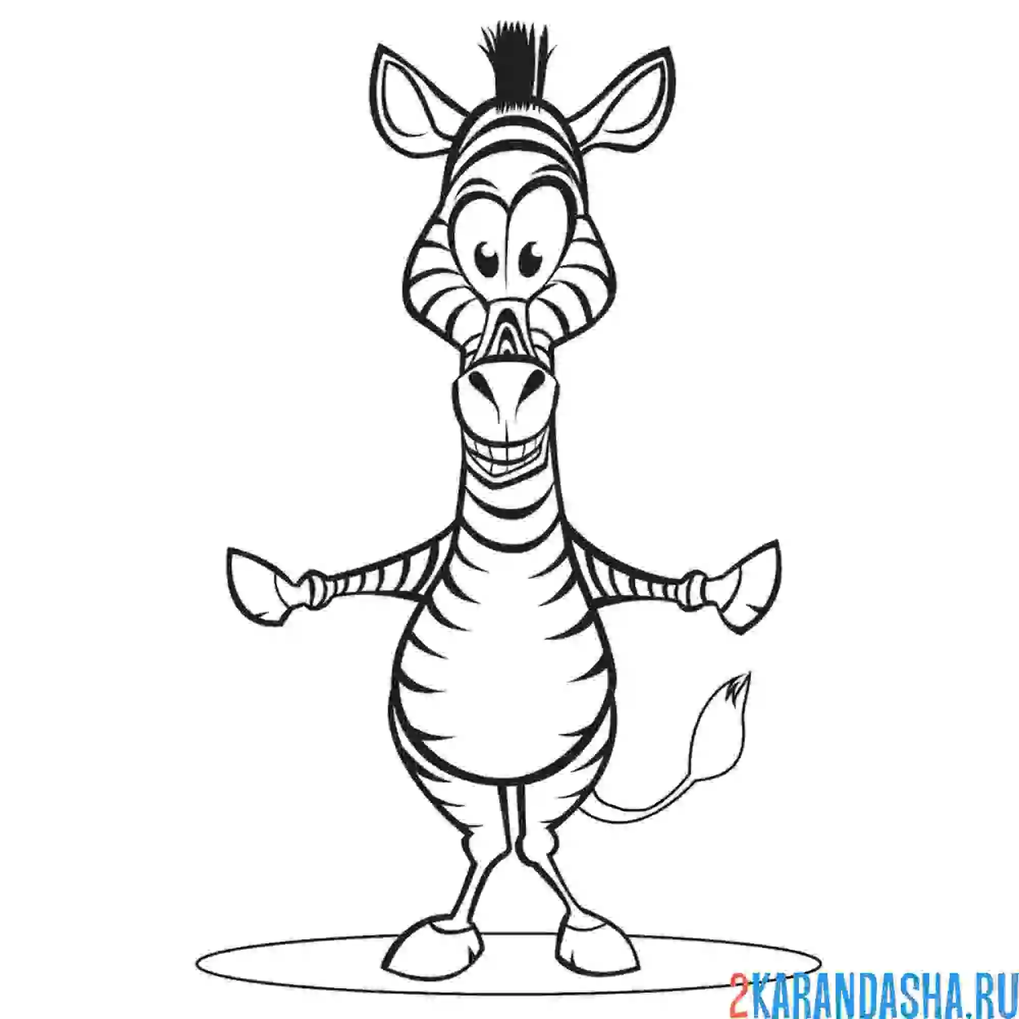 Раскраска смешная зебра