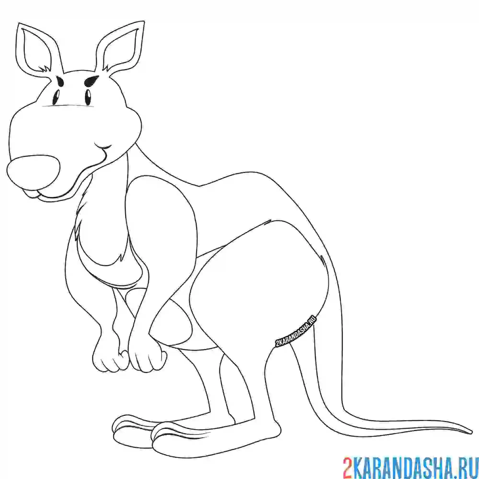 Раскраска кенгуру задумался