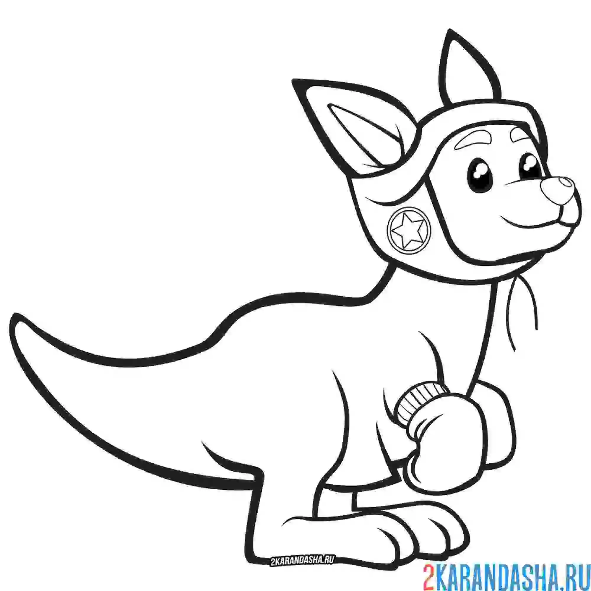 Раскраска кенгуру боксер