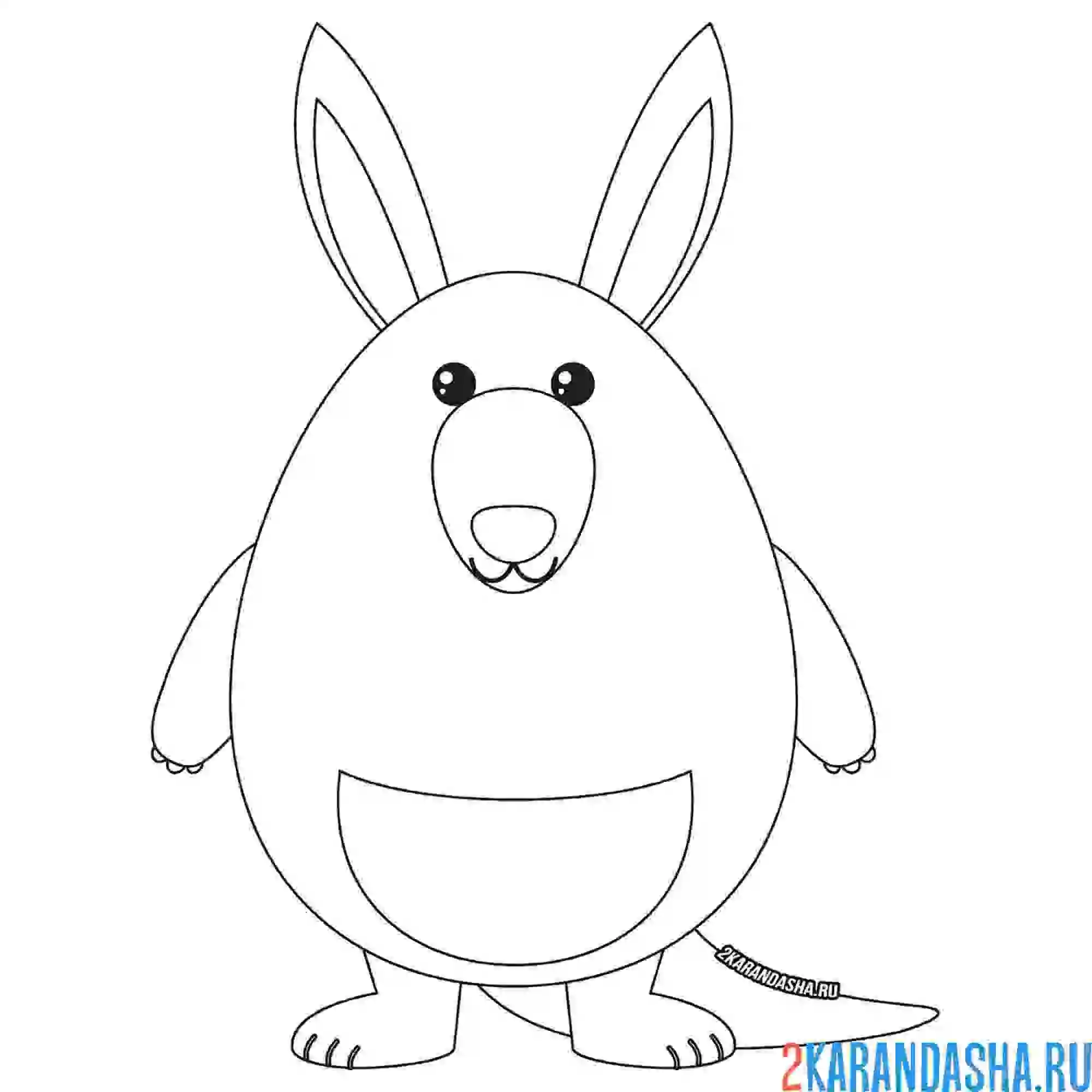 Раскраска кенгуру из простых линий