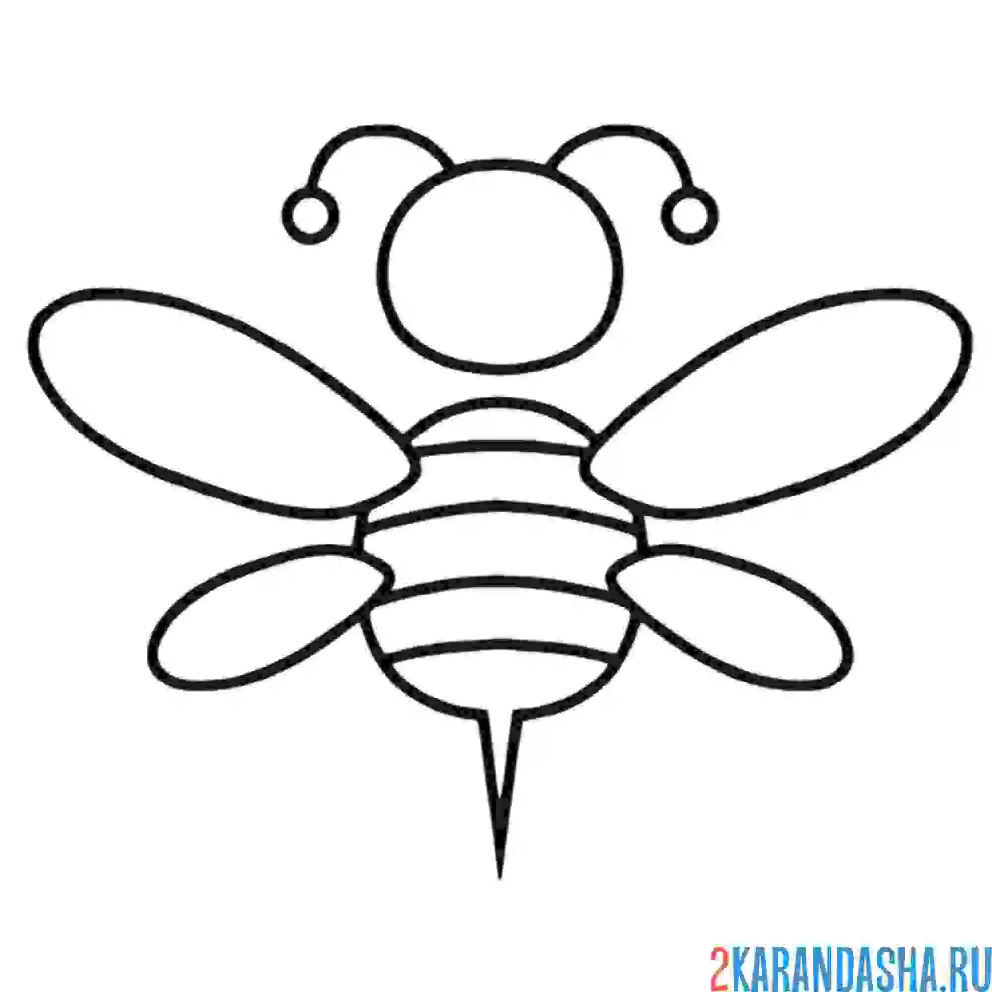 Раскраска пчелка для малышей