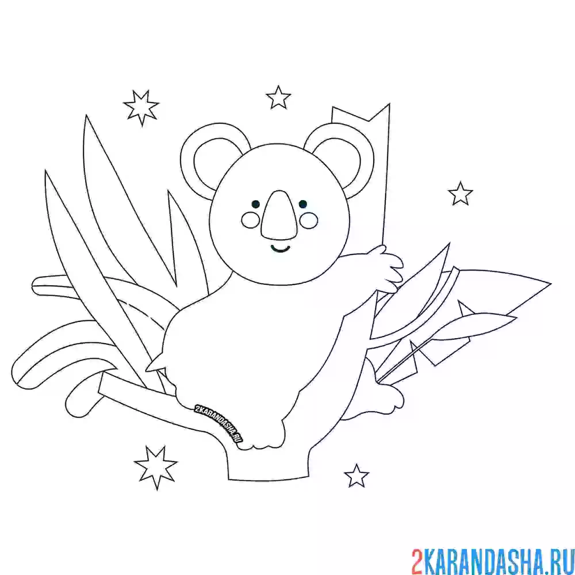 Раскраска коала на дереве