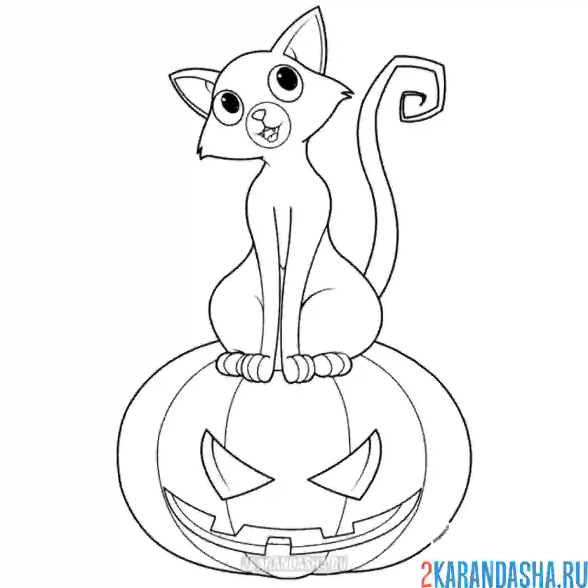 Раскраска черный кот и тыква хэллоуин