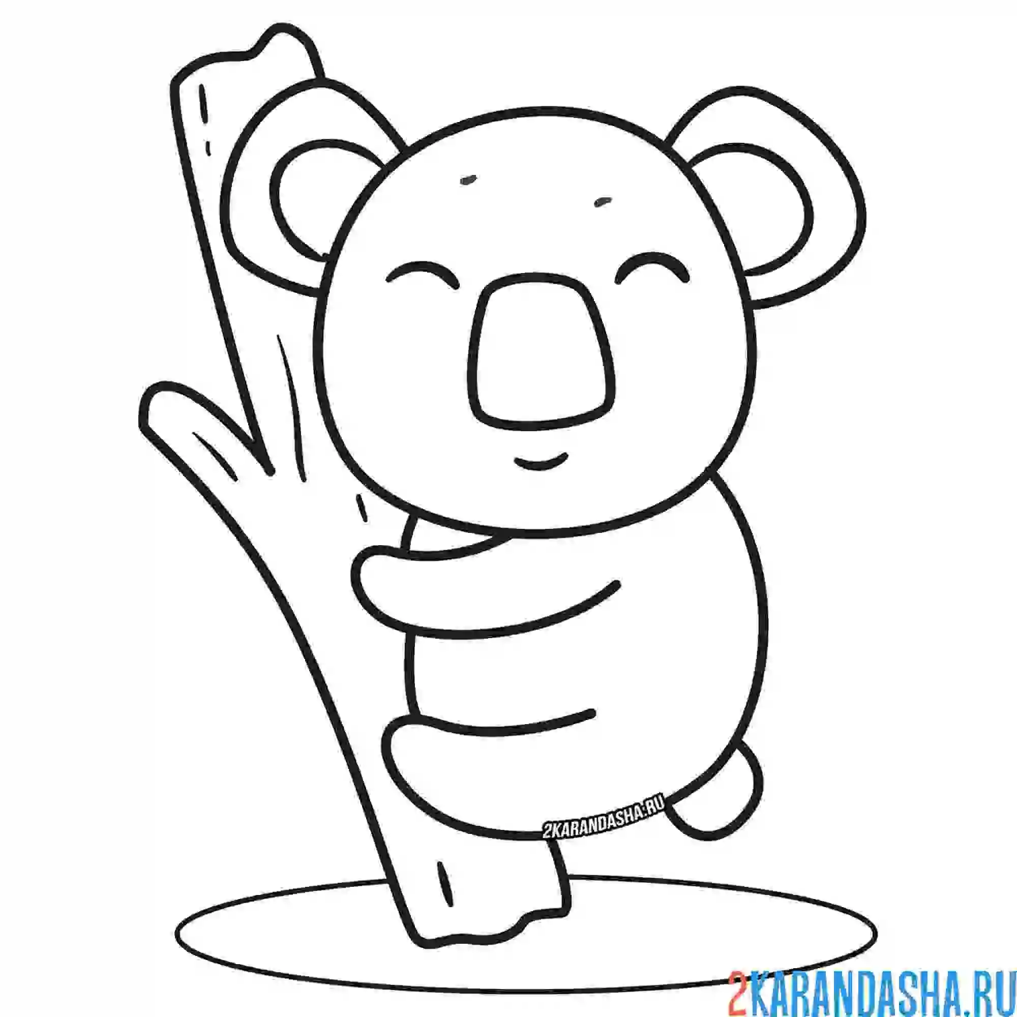 Раскраска пушистая коала