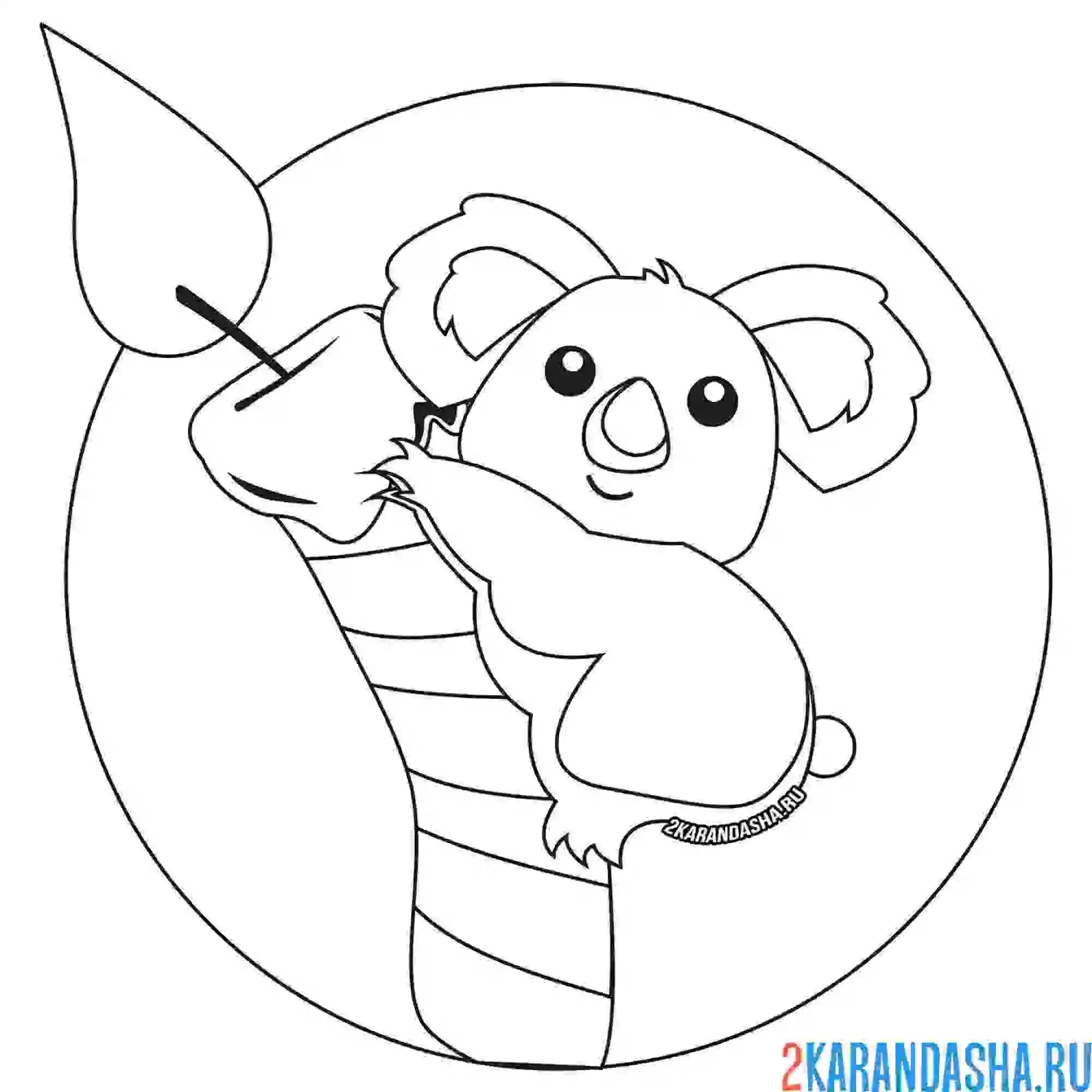 Раскраска коала на празднике