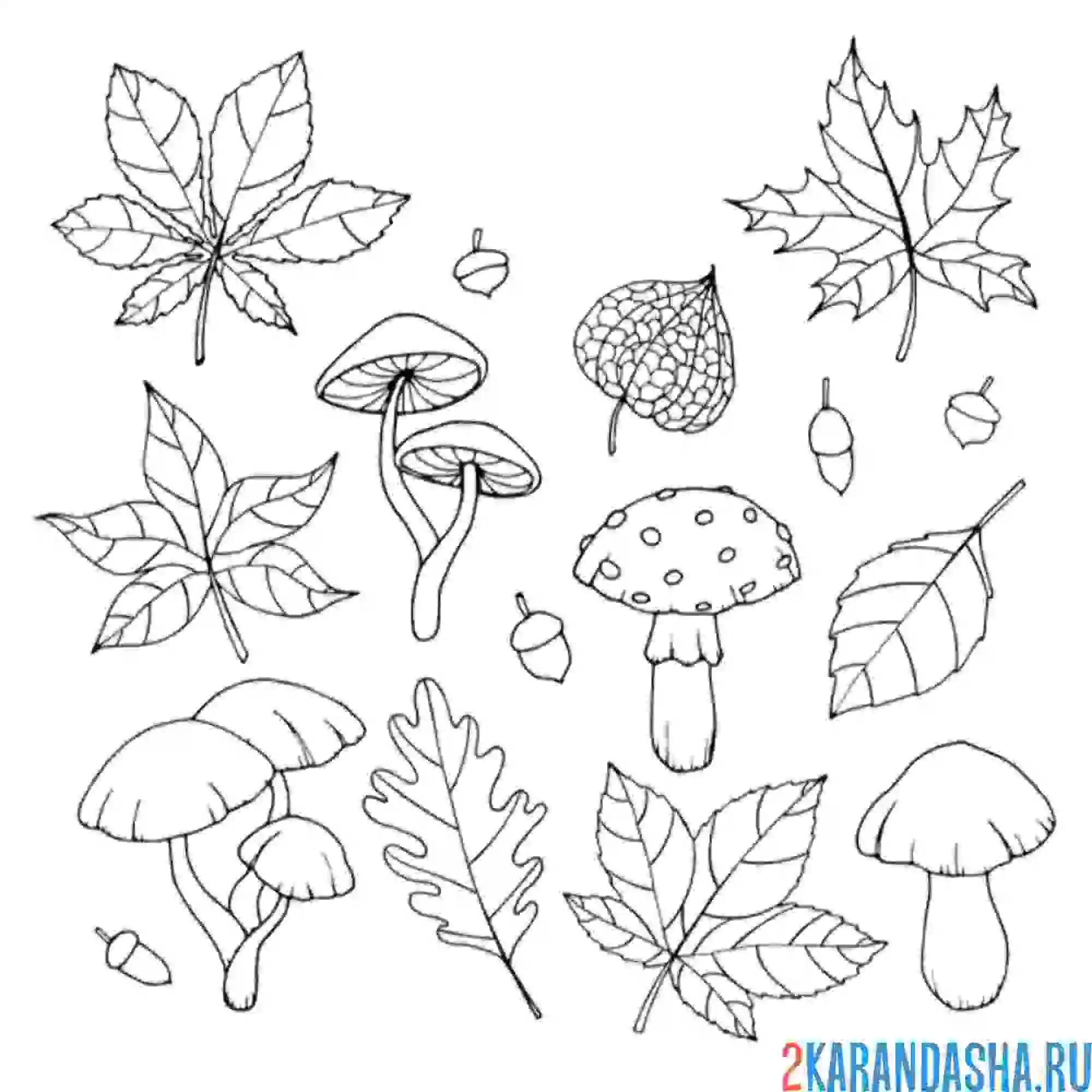 Раскраска осенний набор