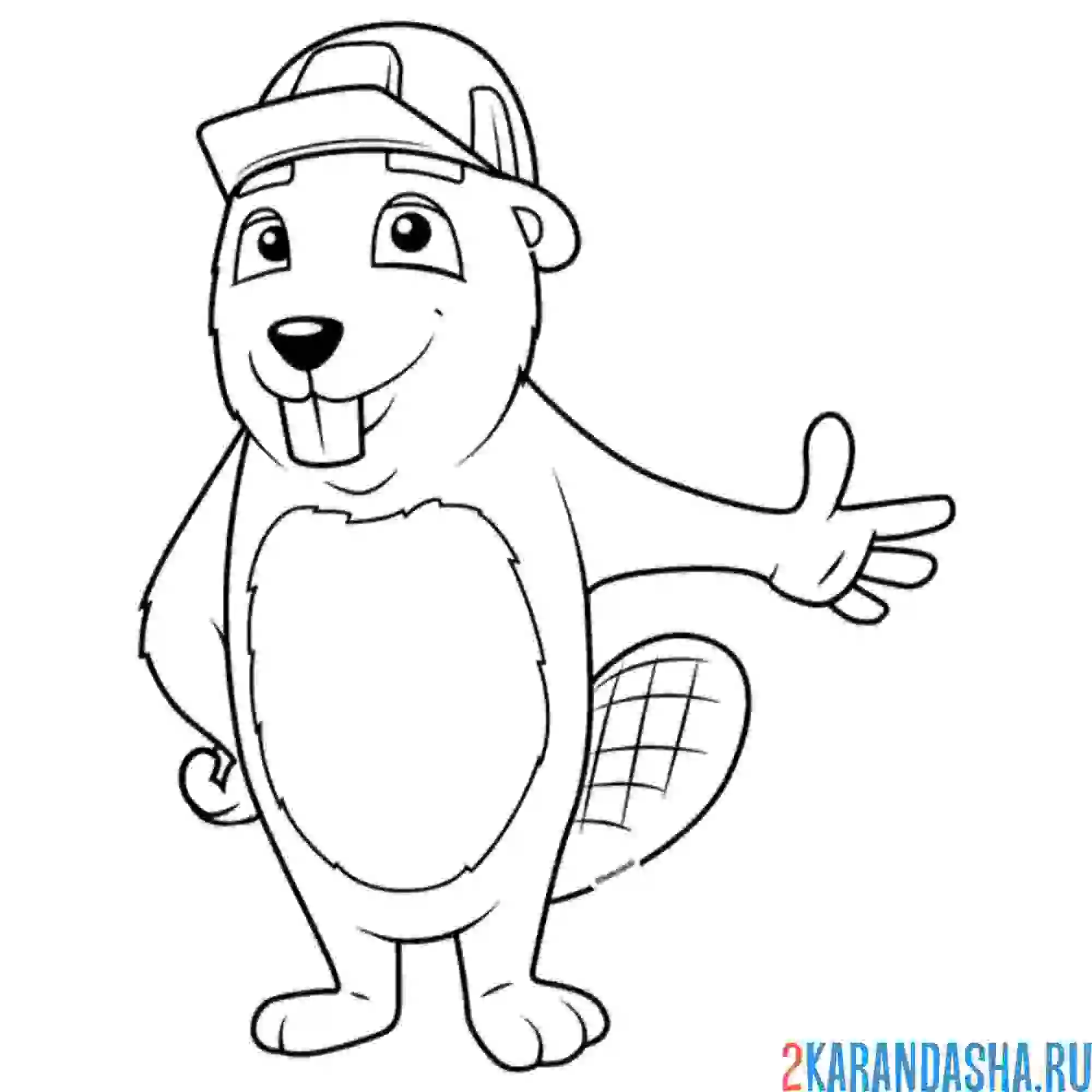 Раскраска строитель бобер