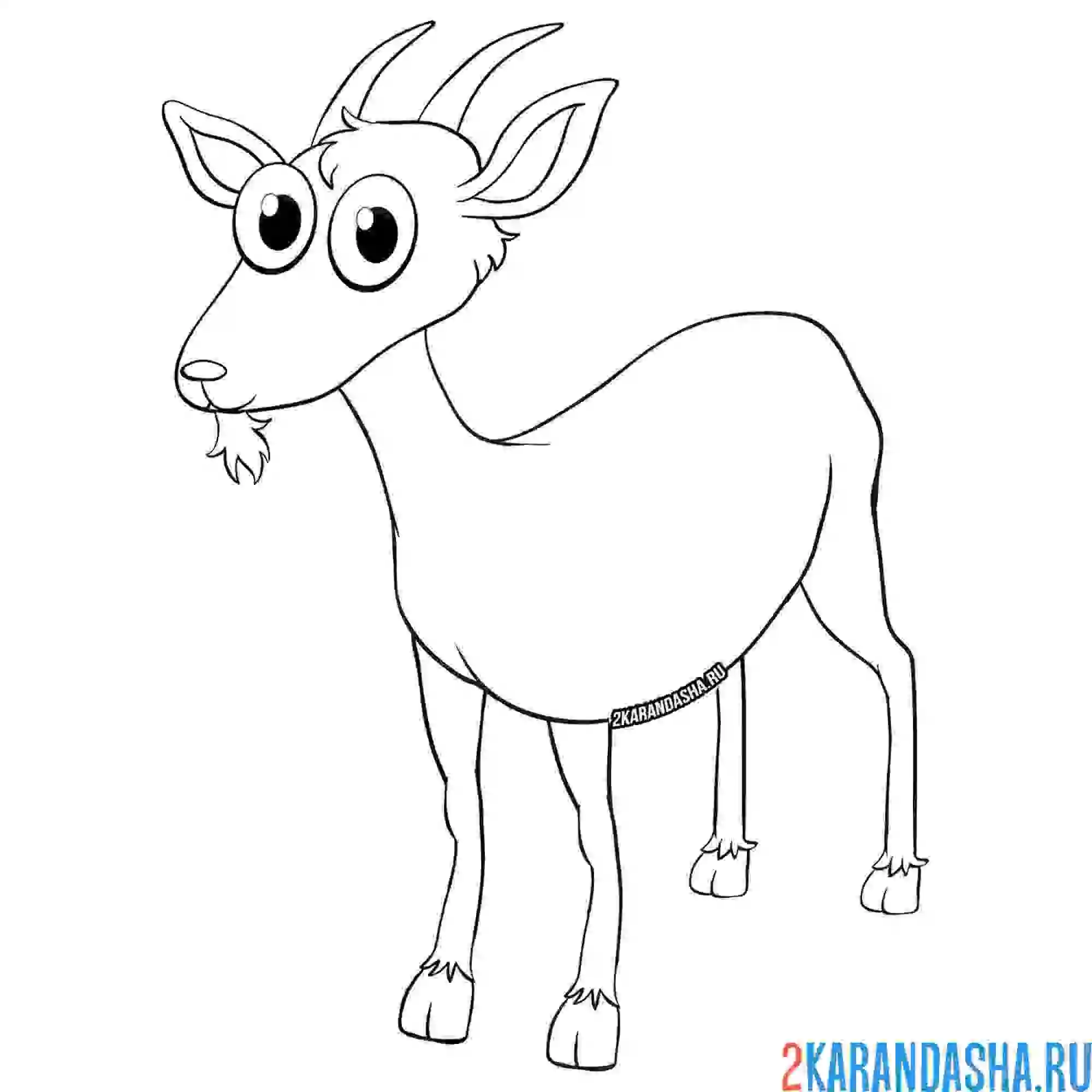 Раскраска козлик