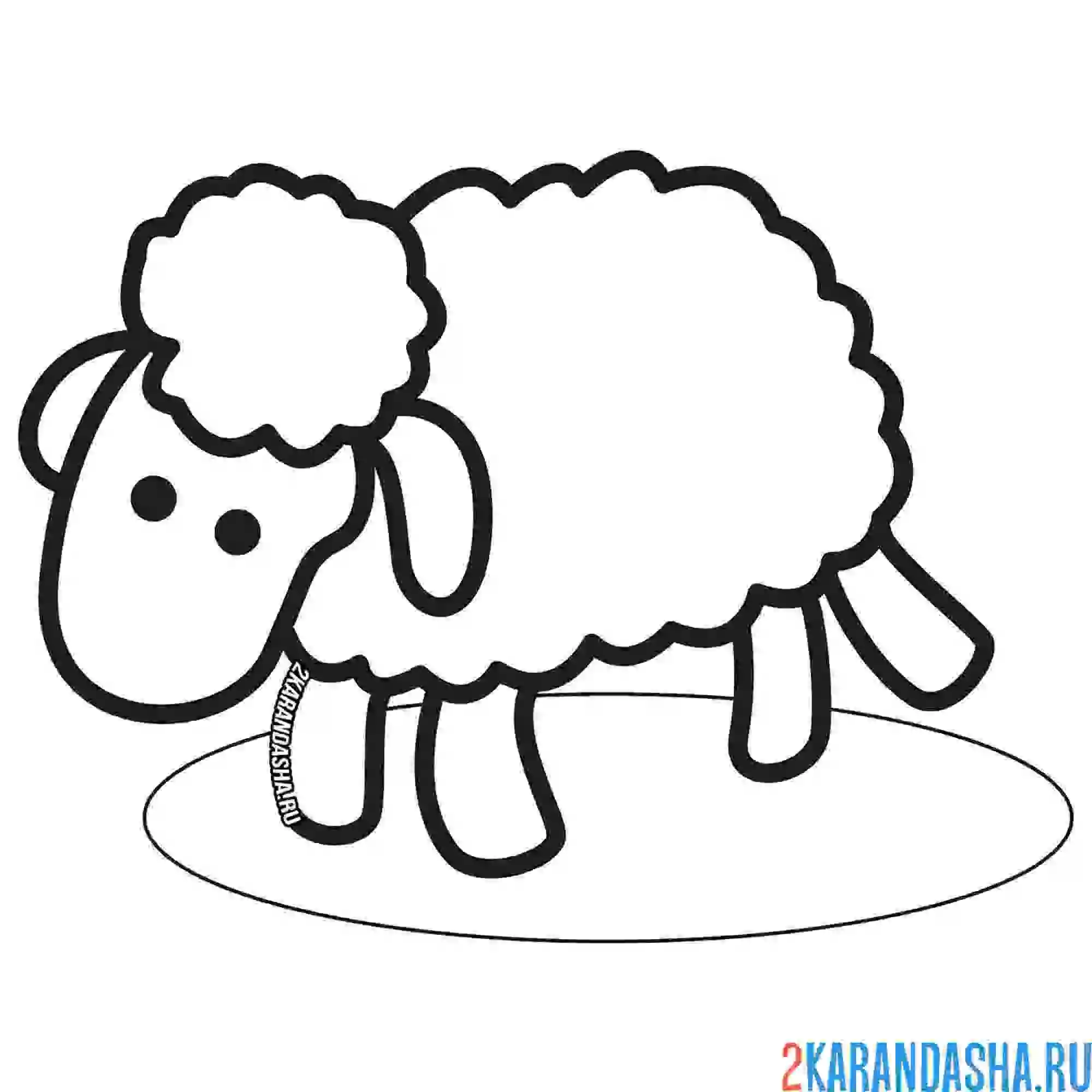 Раскраска овечка для детей