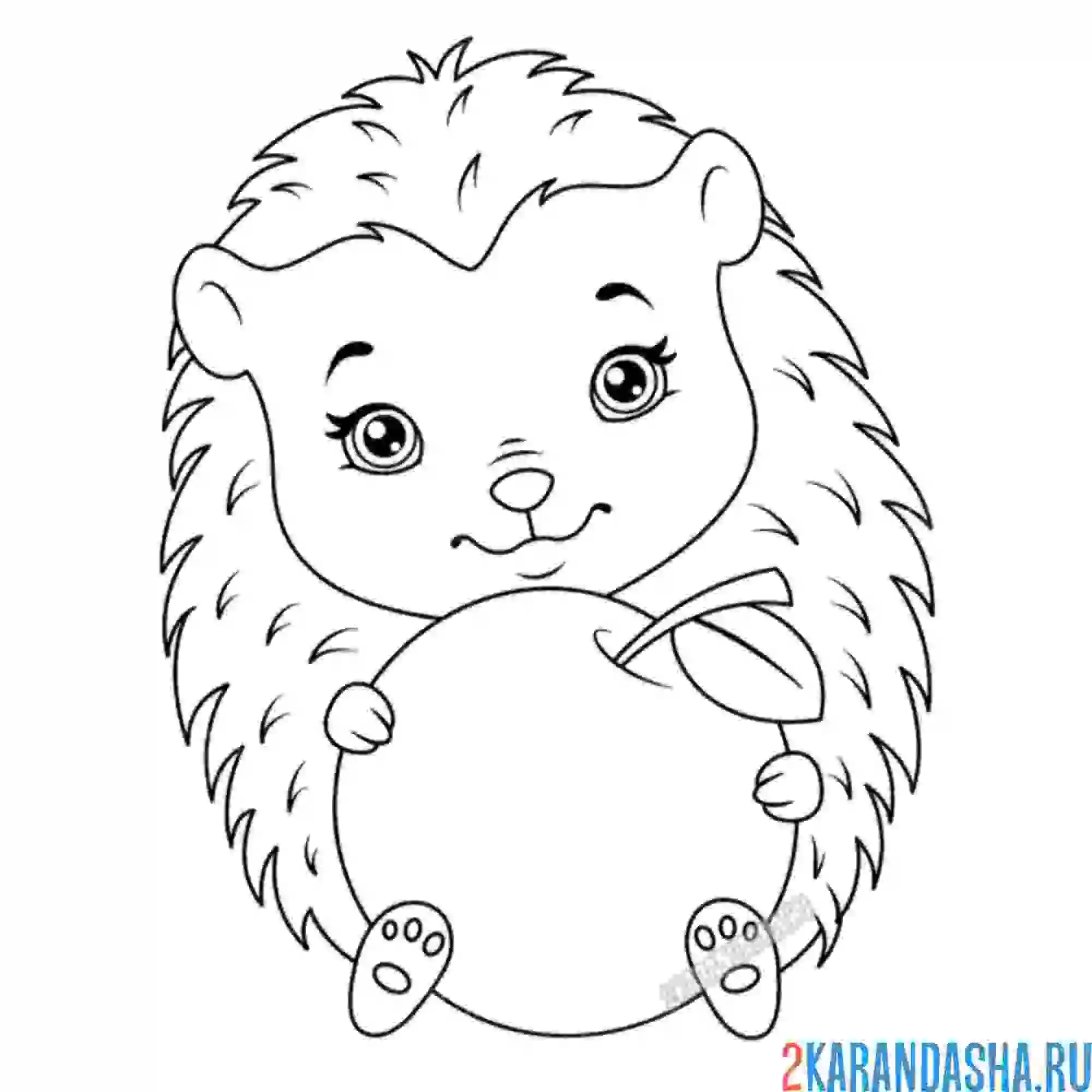 Раскраска ежик с яблочком