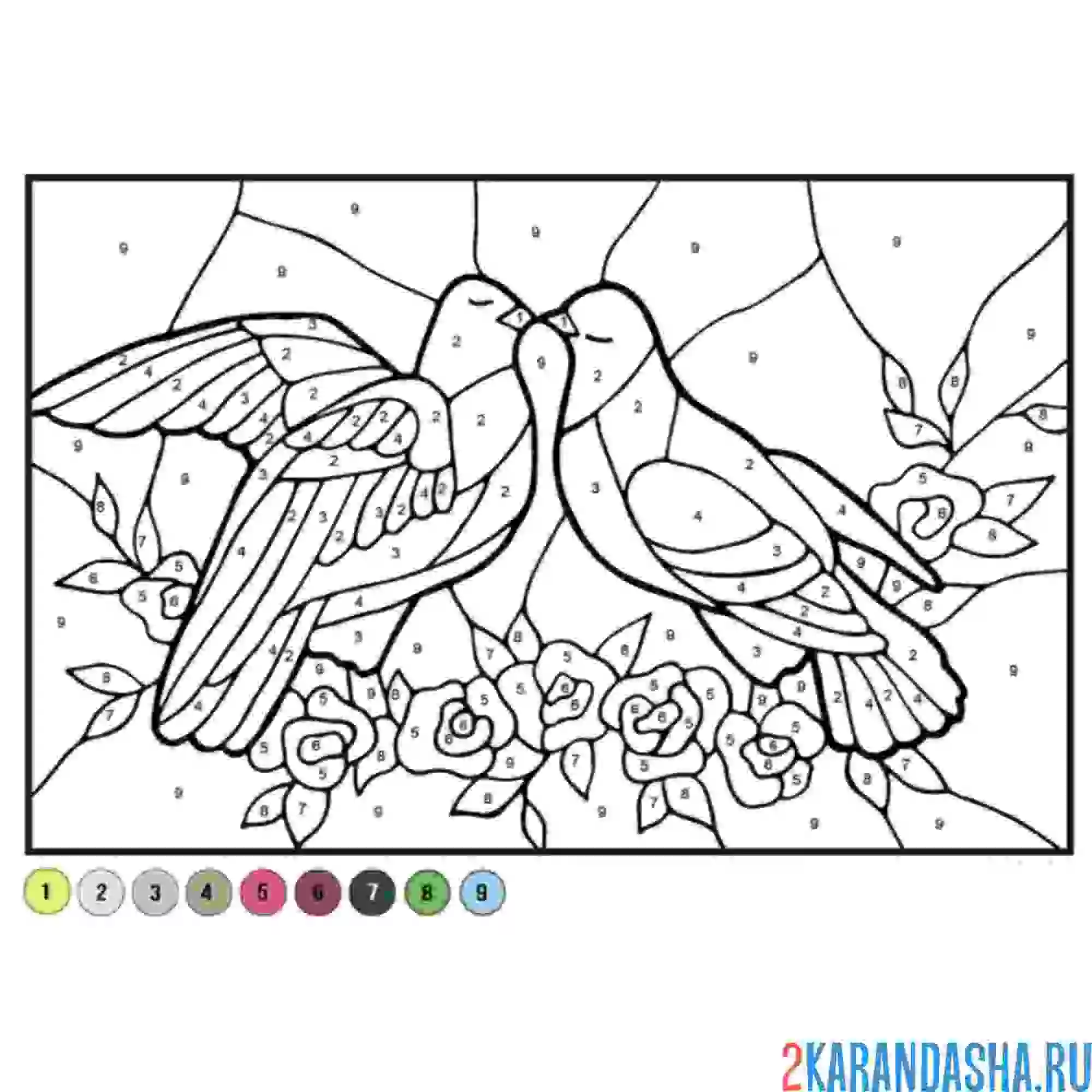 Раскраска по номерам: голубки