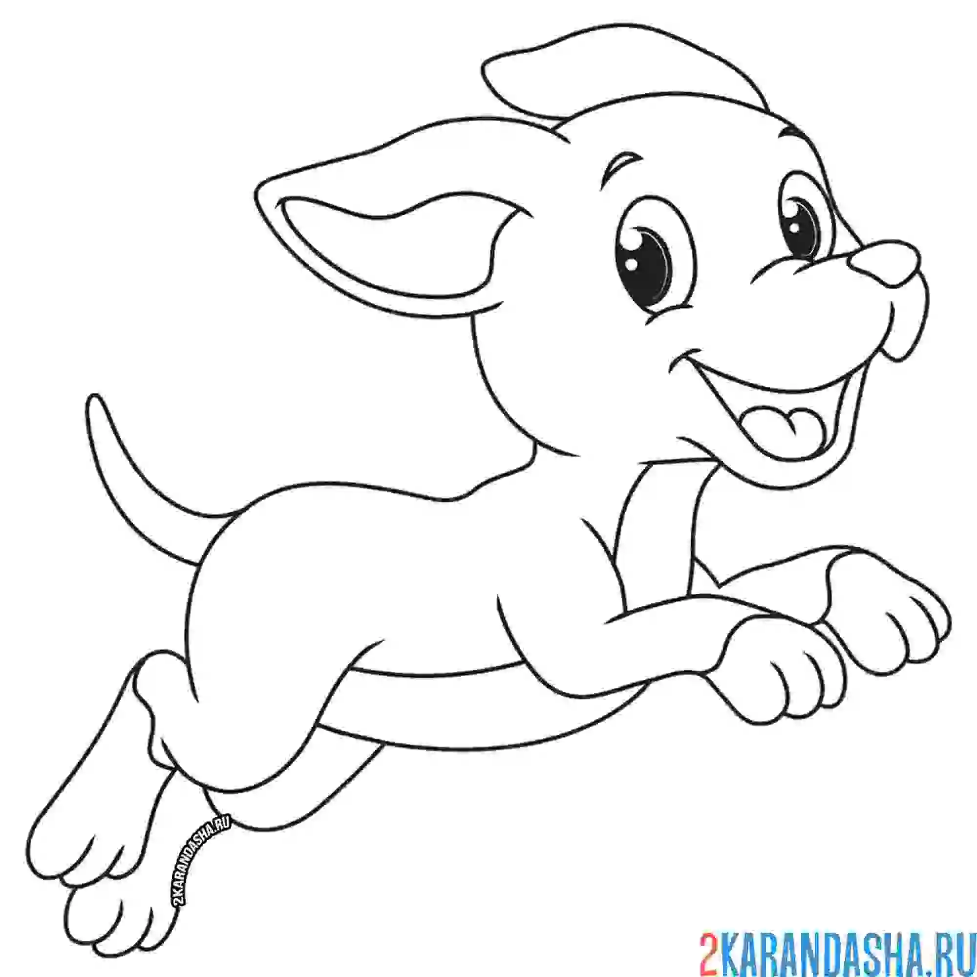 Раскраска игривый щенок