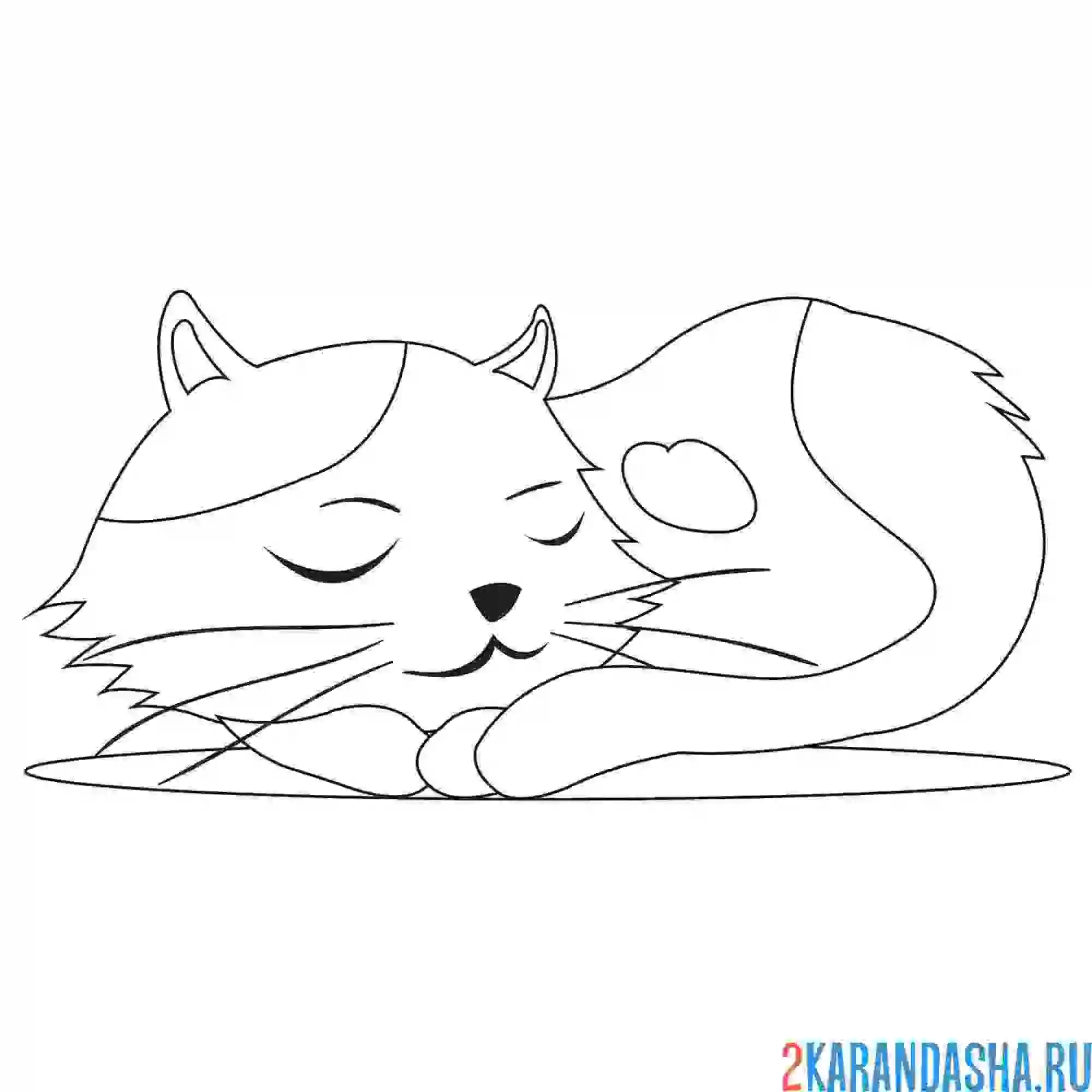 Раскраска кот спит