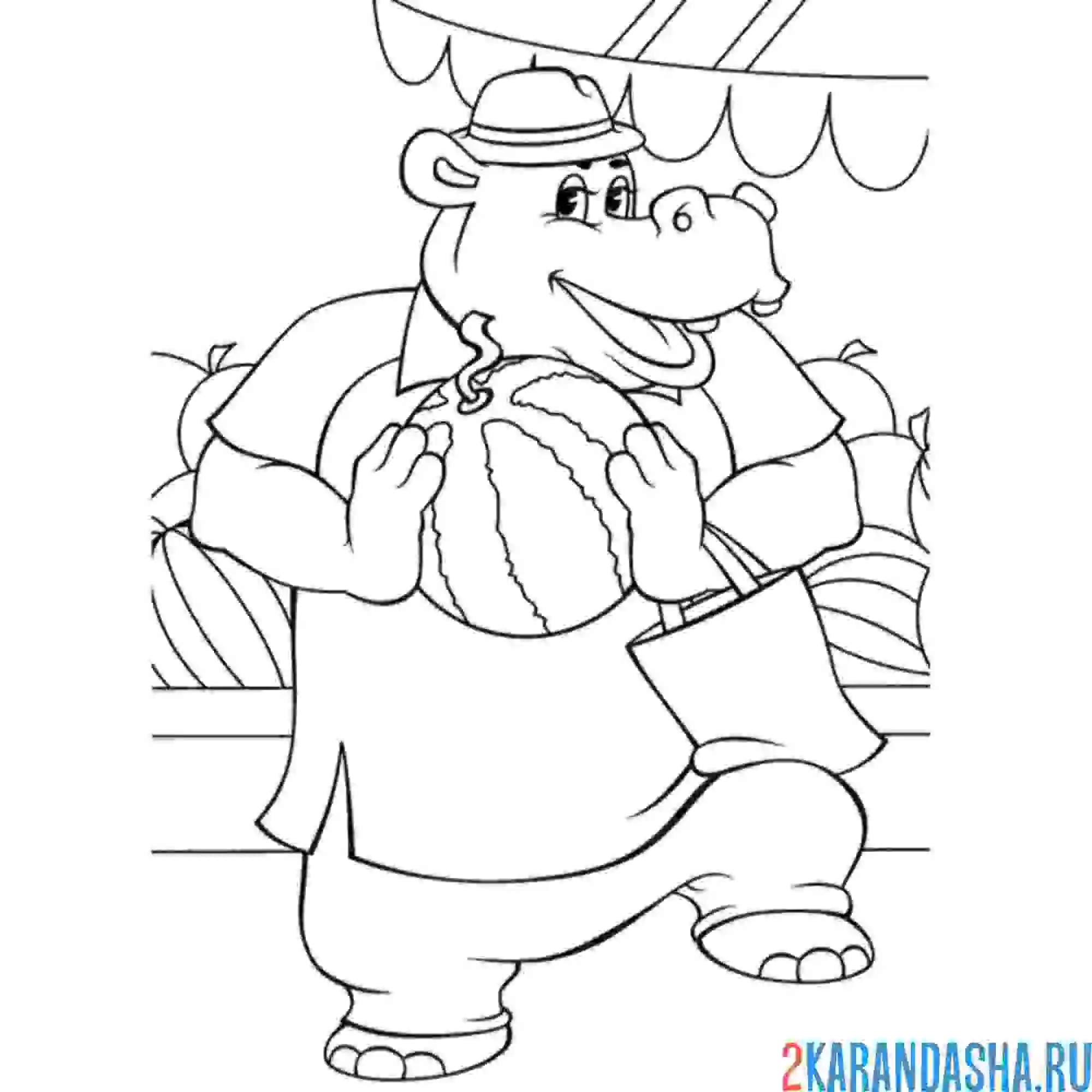 Раскраска бегемот выбирает арбуз