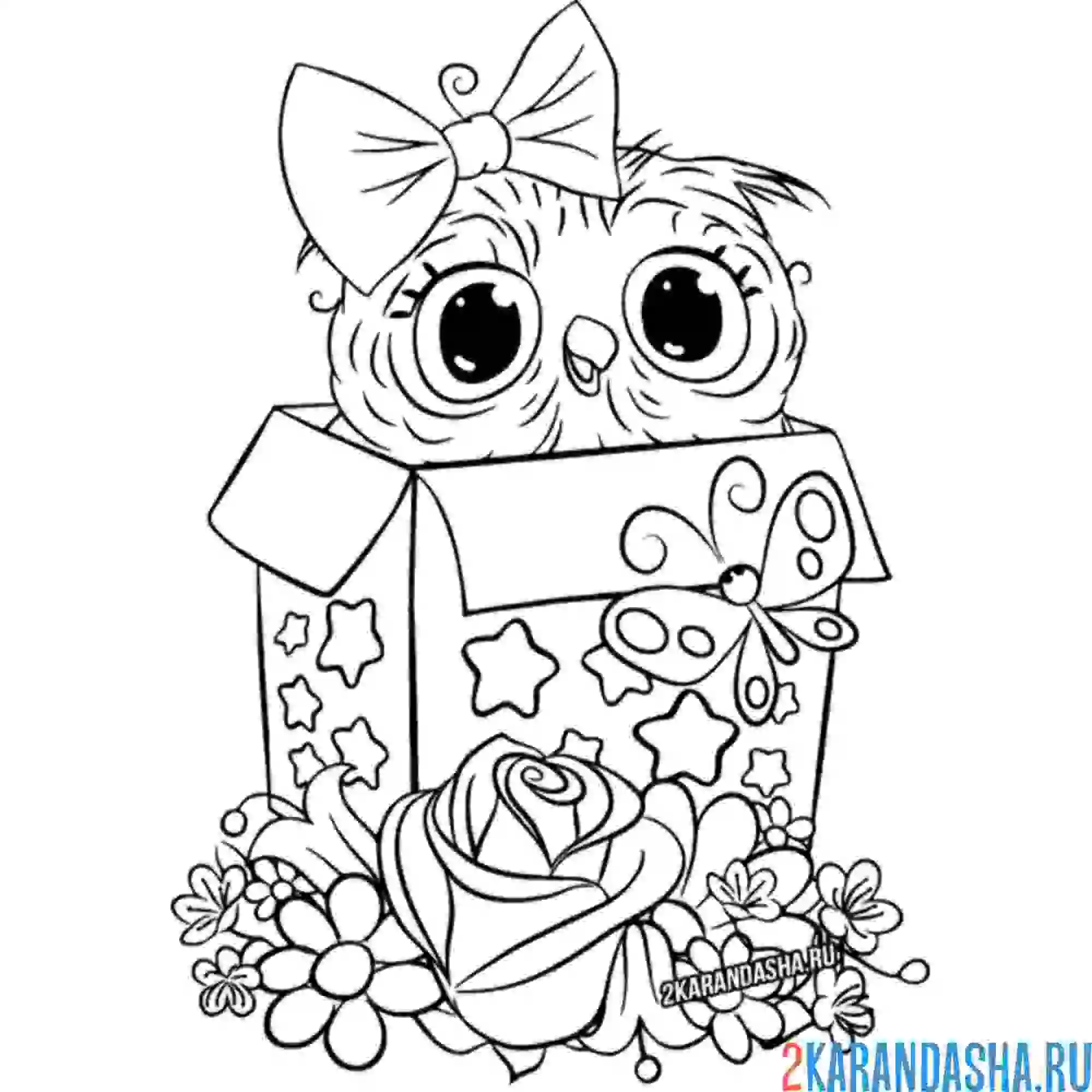 Раскраска маленький совенок в коробке