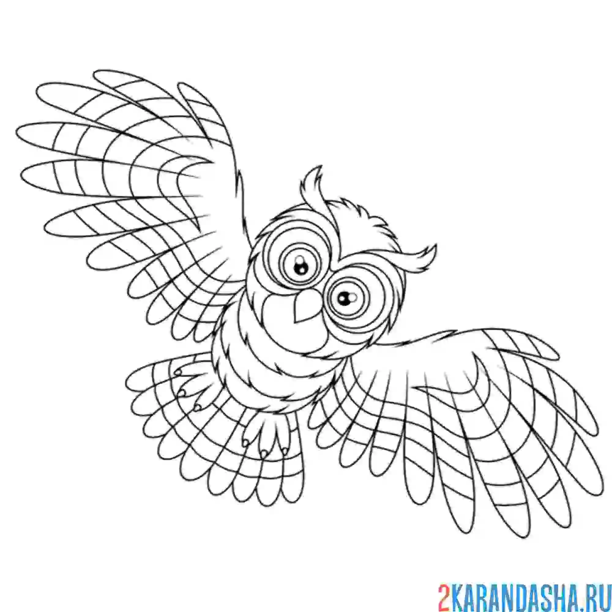 Раскраска филин в полете