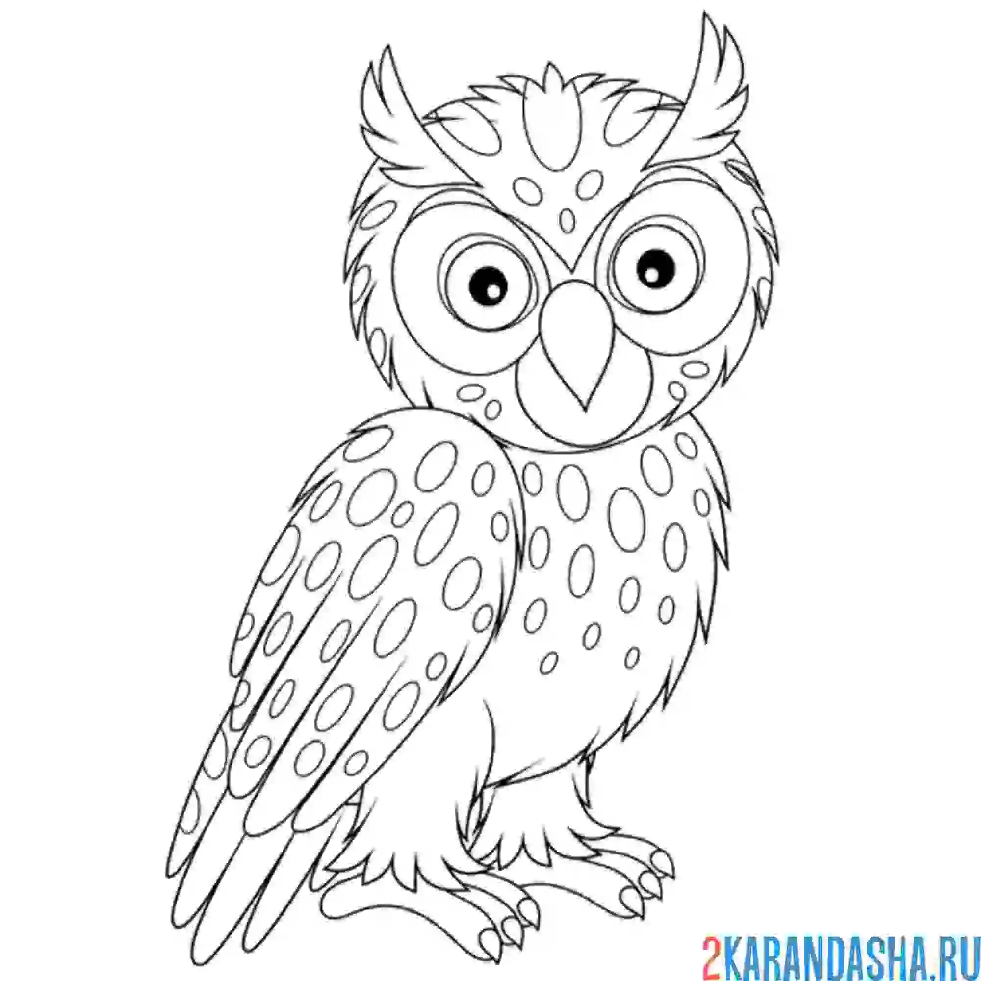 Раскраска охотник филин
