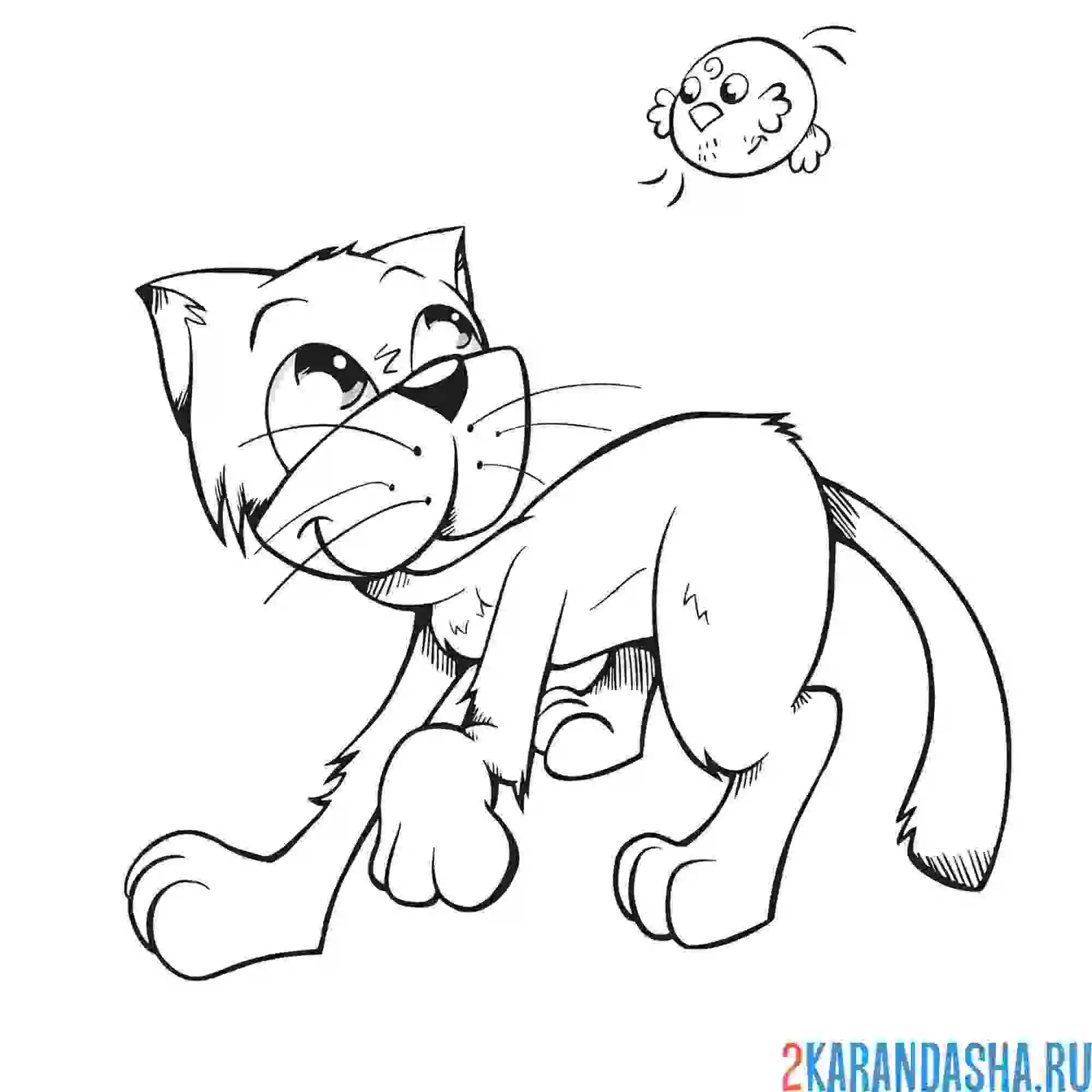 Раскраска кот смотрит на птичку