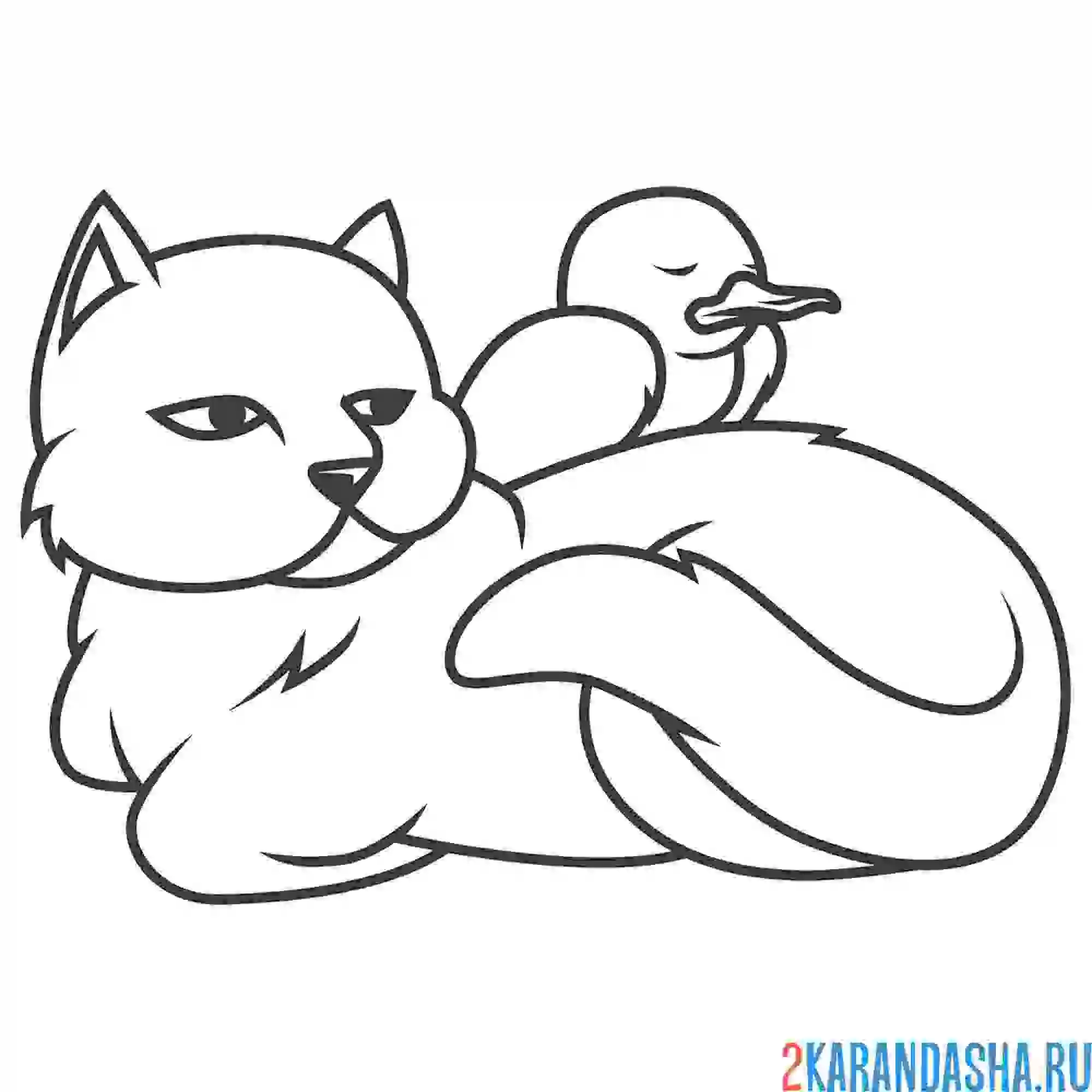 Раскраска ухоженная кошечка