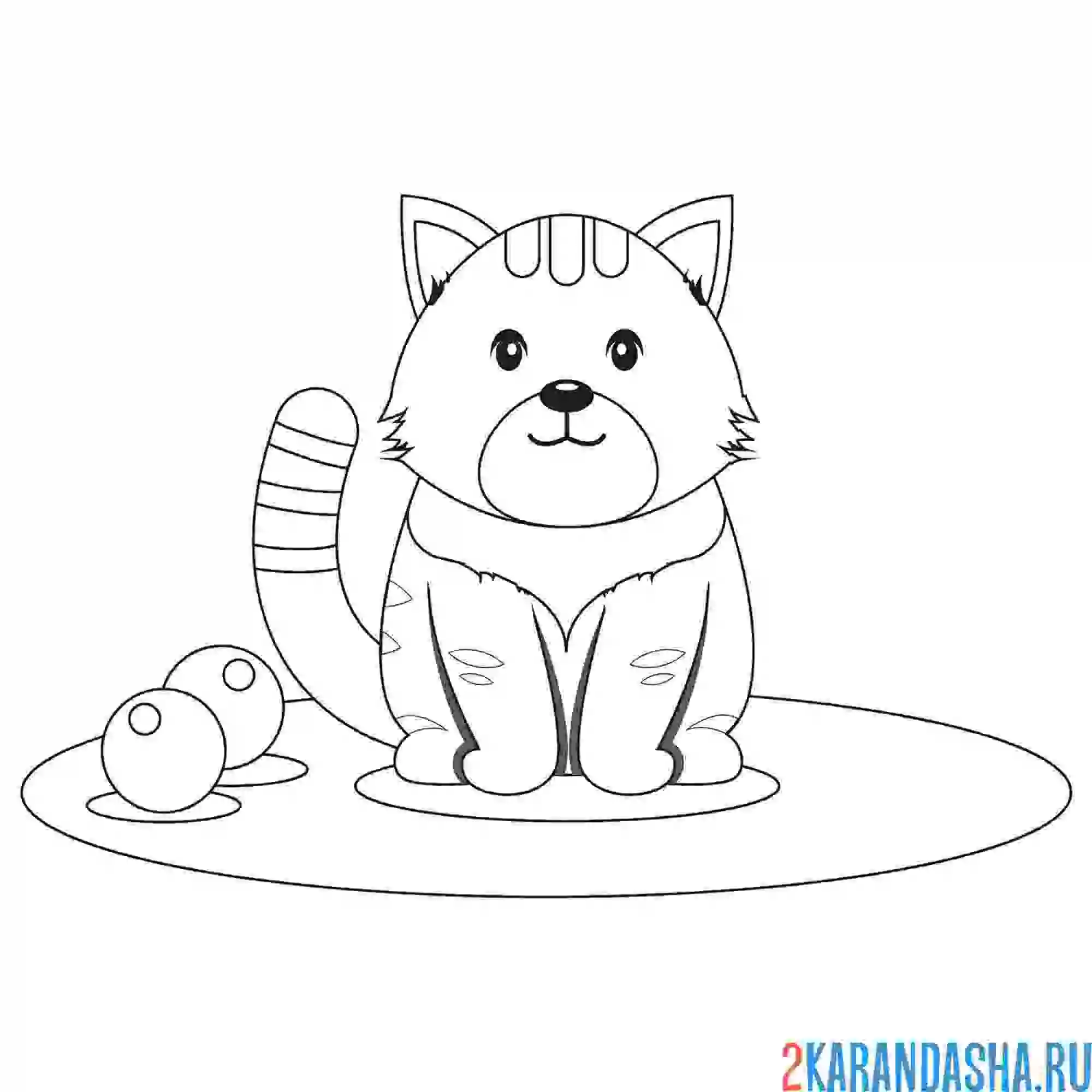 Раскраска кот хочет играть