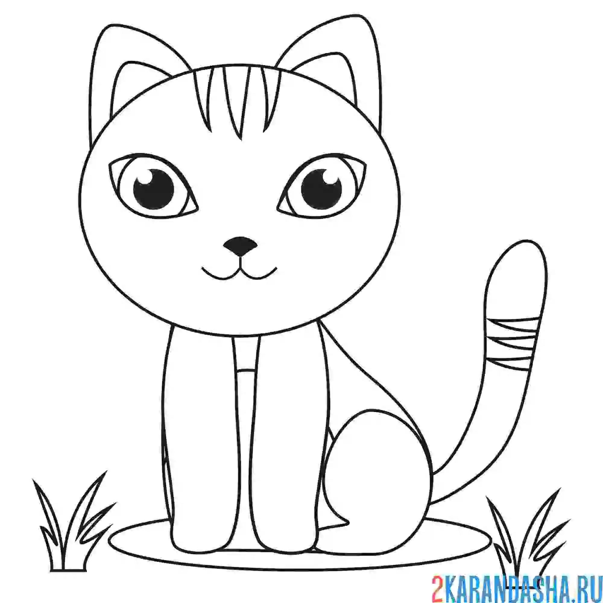 Раскраска спокойный кот