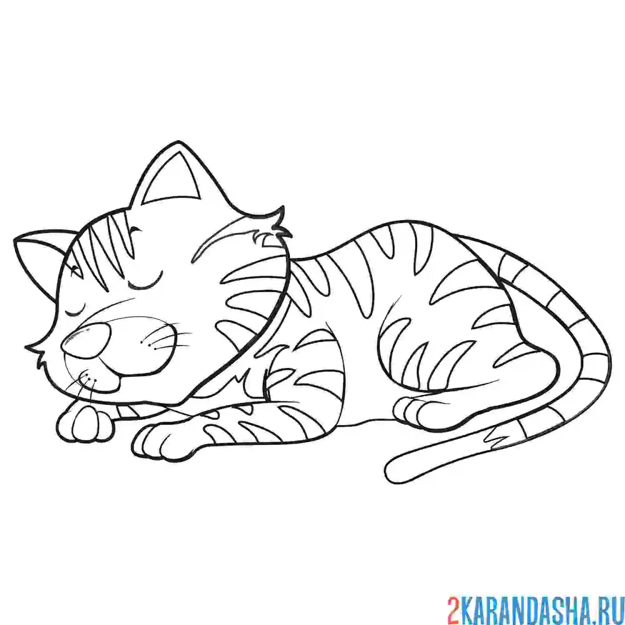 Раскраска кот уснул