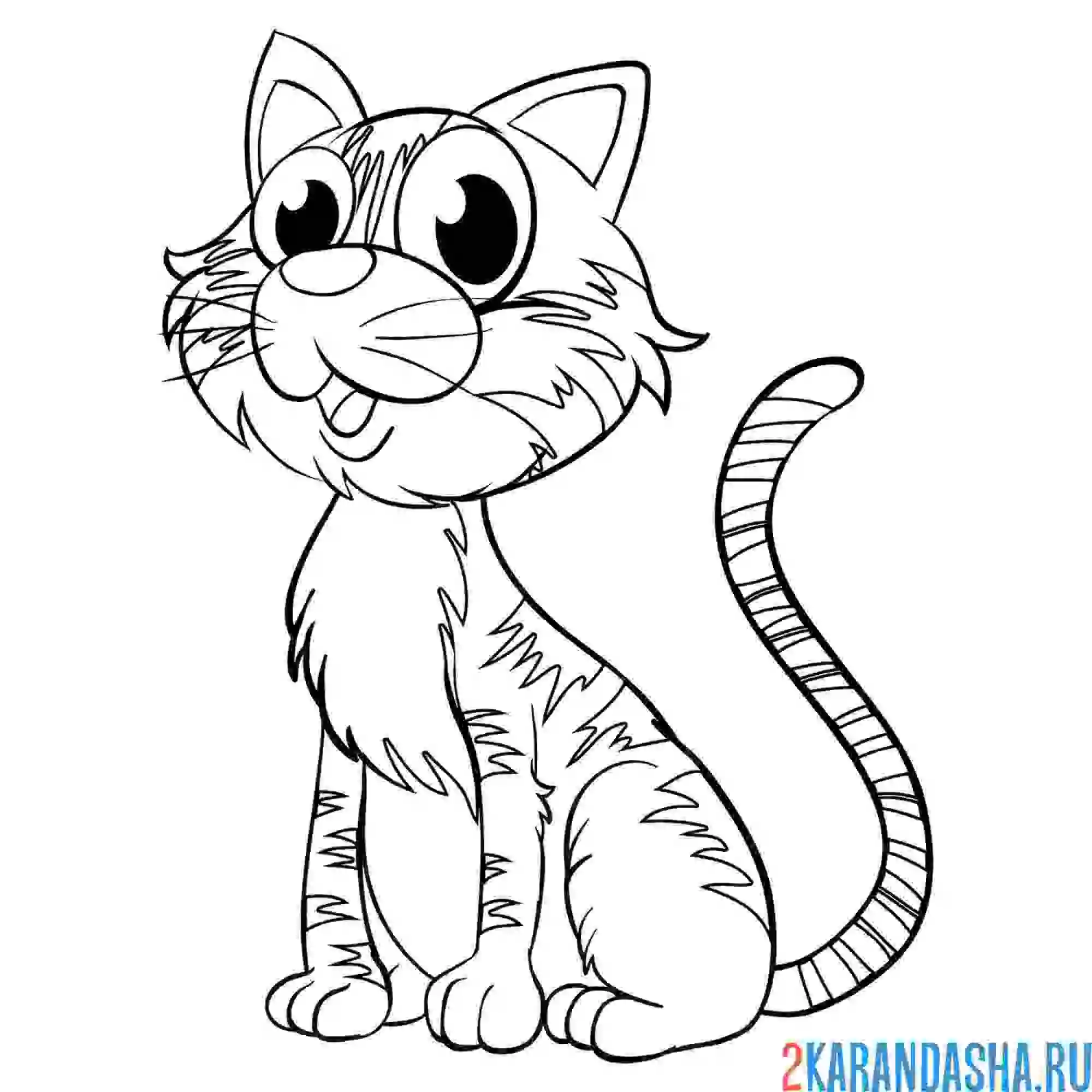 Раскраска ушастый кот