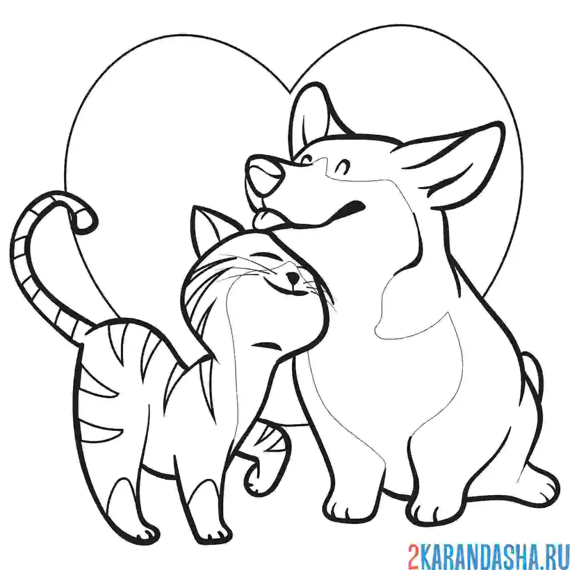 Раскраска любовь между кошечкой и собакой
