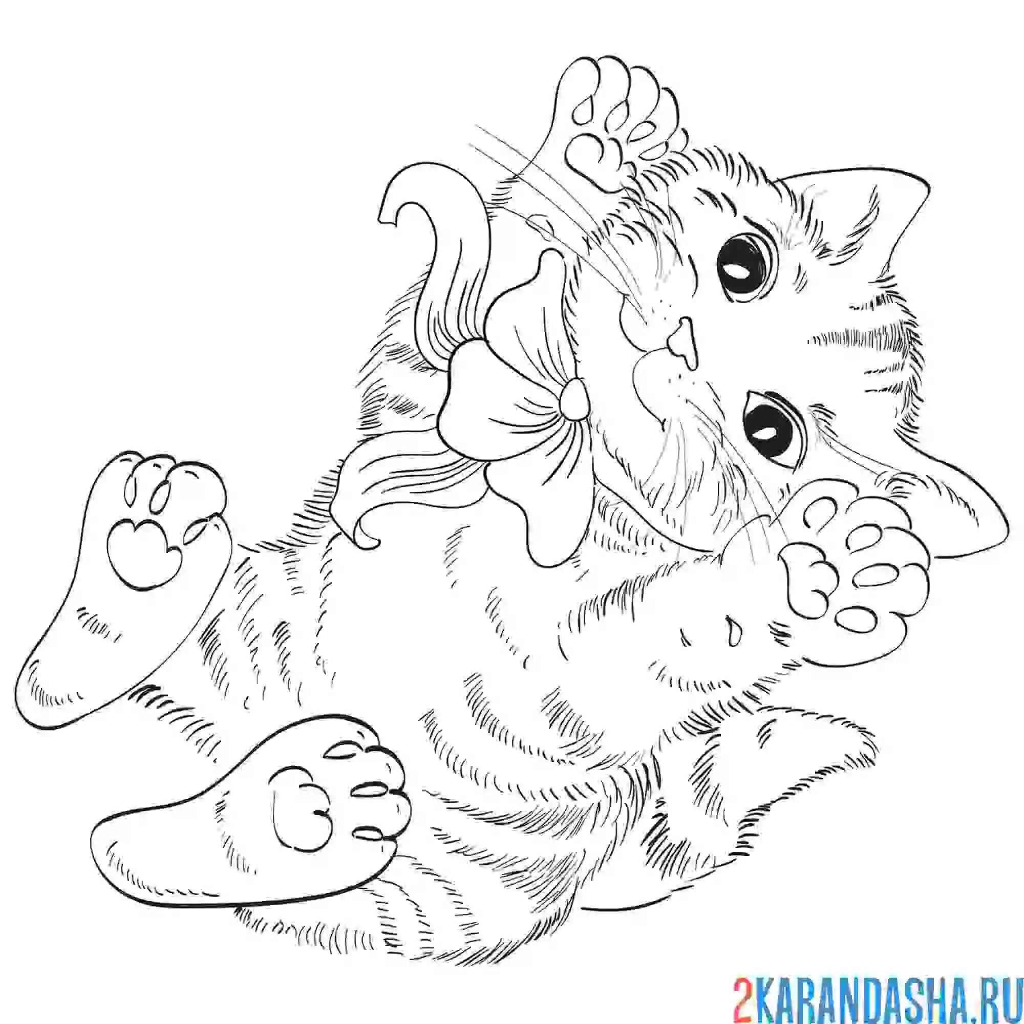 Раскраска котенок играется