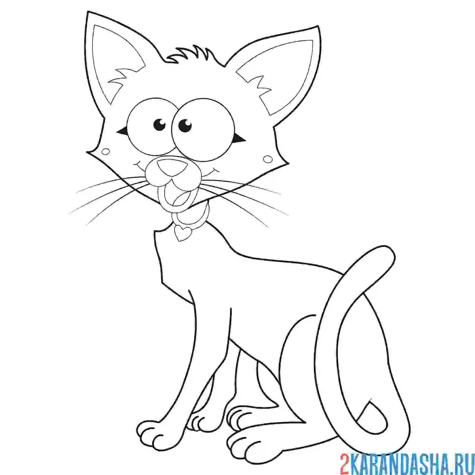 Раскраска сиамский кот