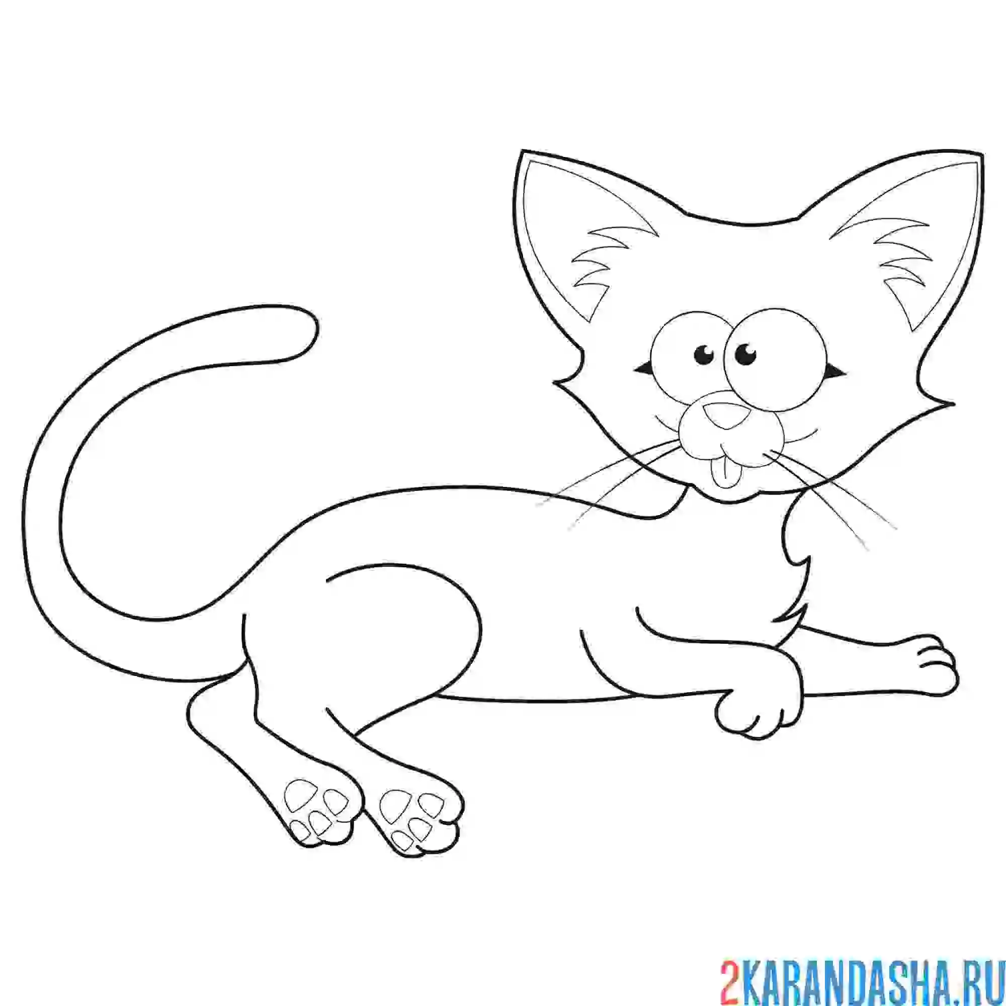 Раскраска кот ушастик