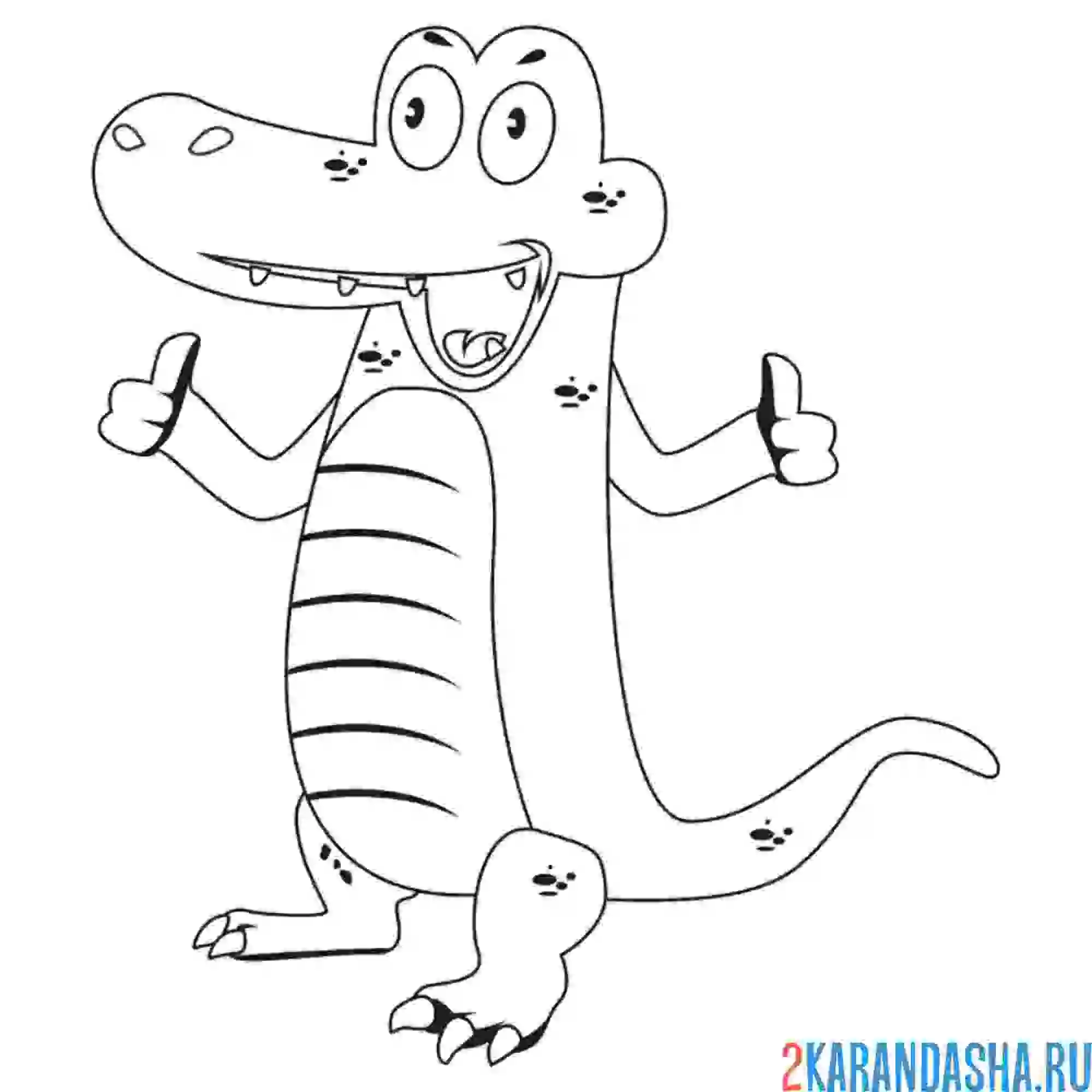 Раскраска крокодил показывает класс