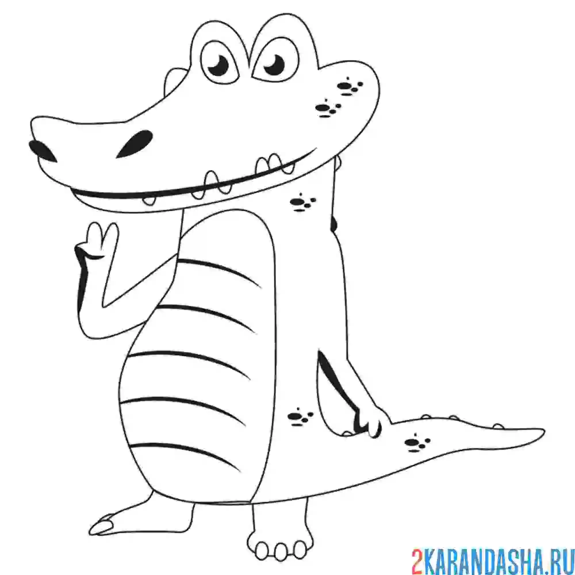 Раскраска крокодил позирует
