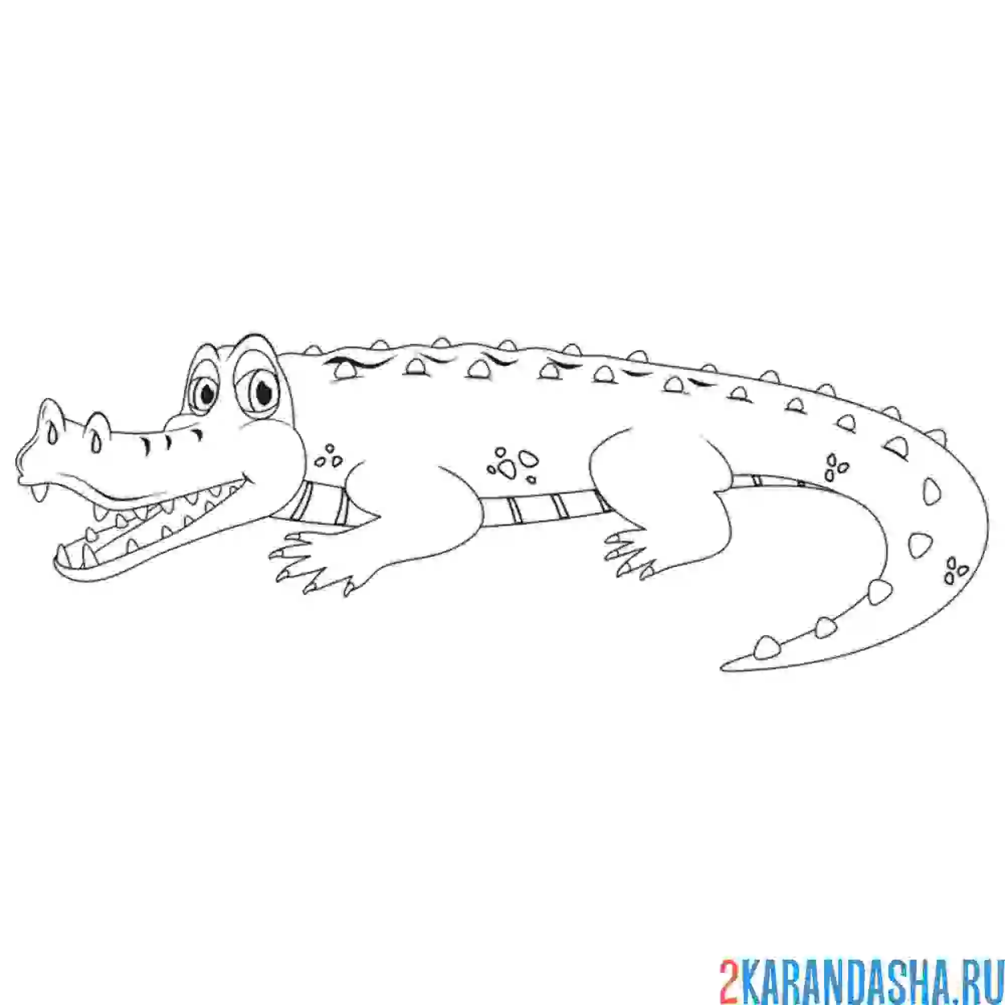 Раскраска крокодил греется на солнце