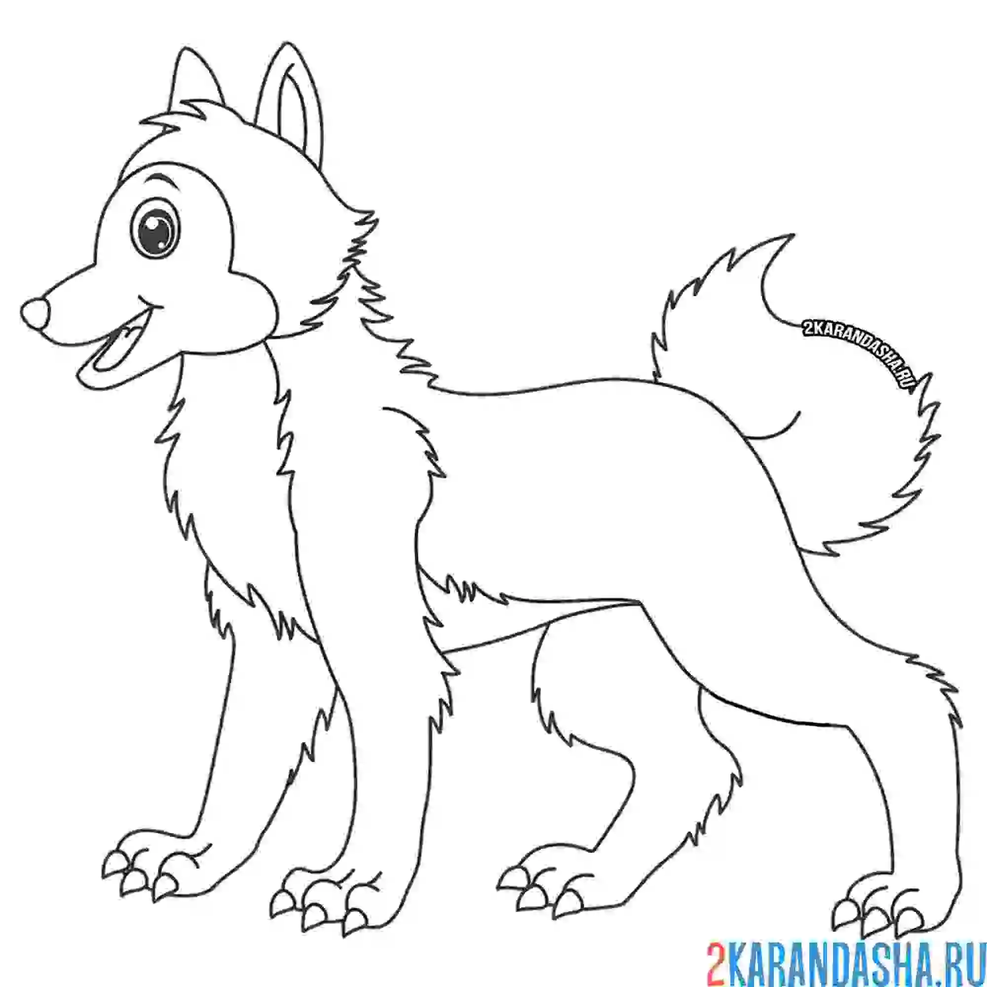 Раскраска довольный волк