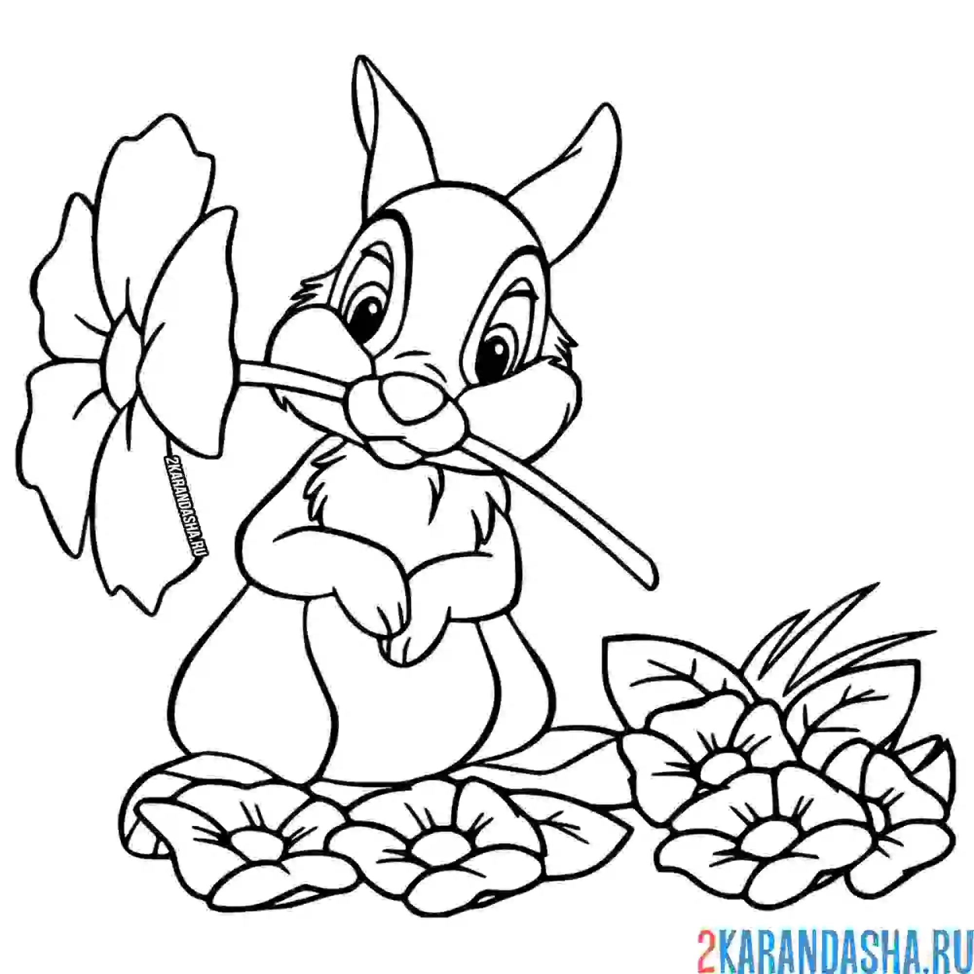 Раскраска кролик с цветами