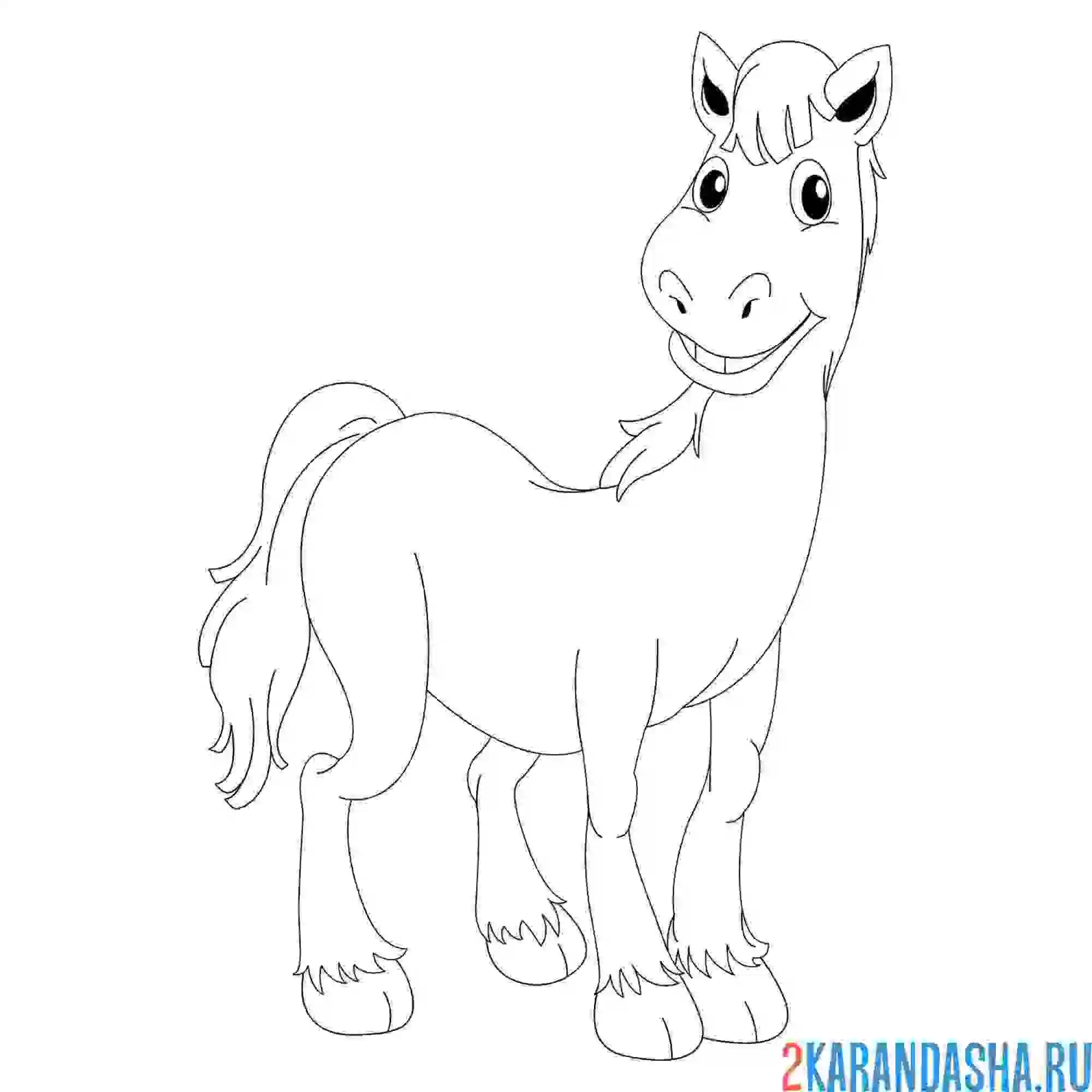 Раскраска красивая лошадка