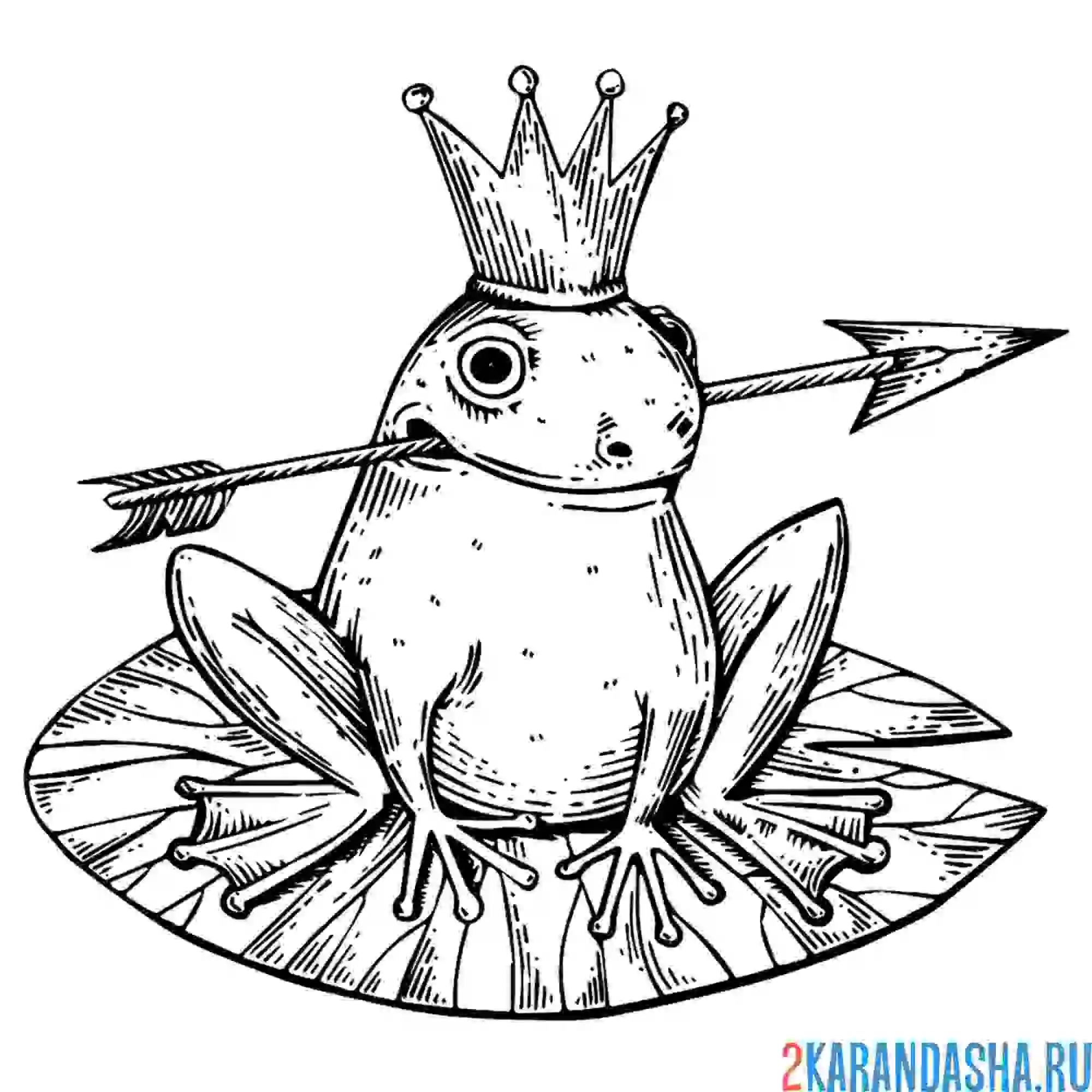Раскраска царевна лягушка со стрелой из сказки