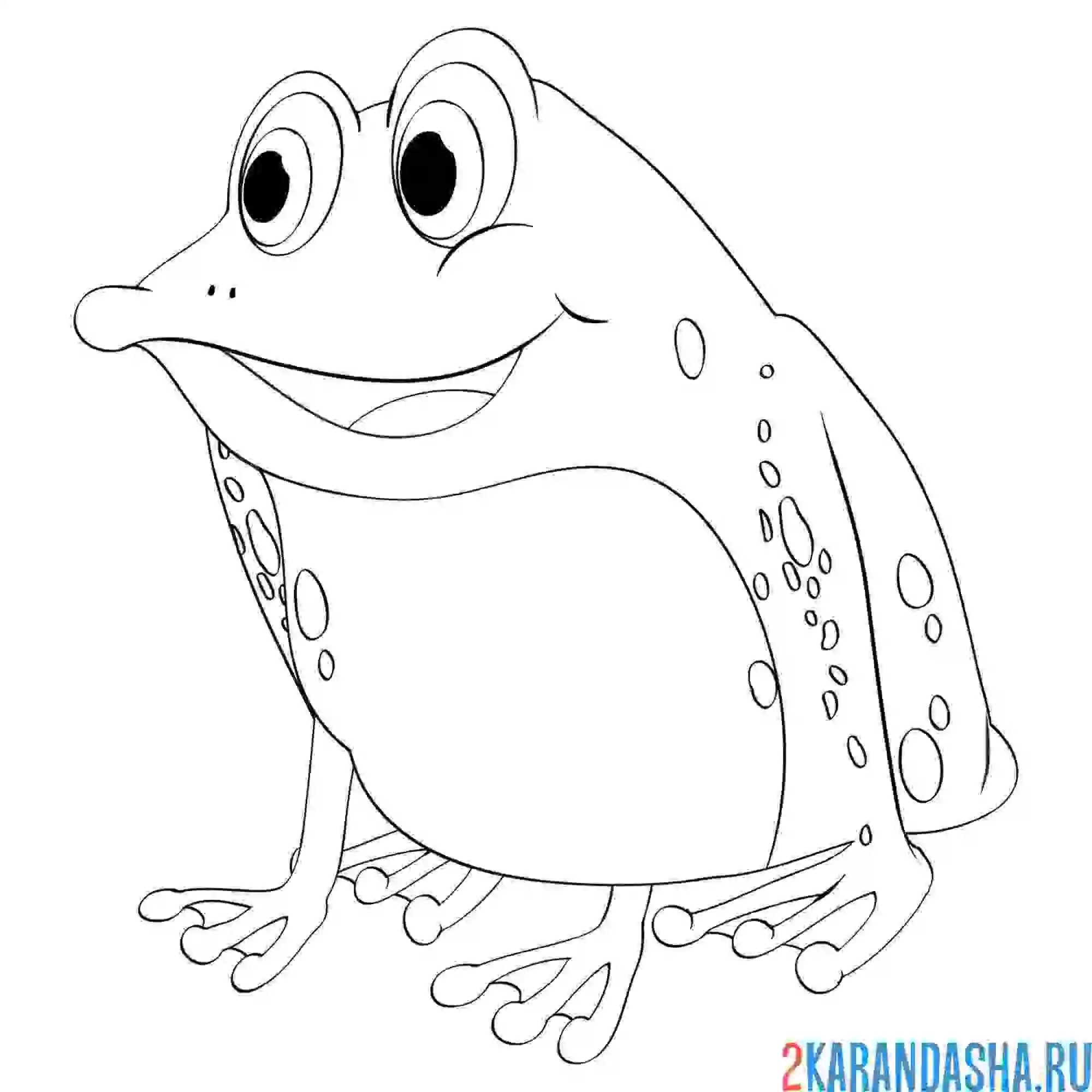 Раскраска болотная лягушка
