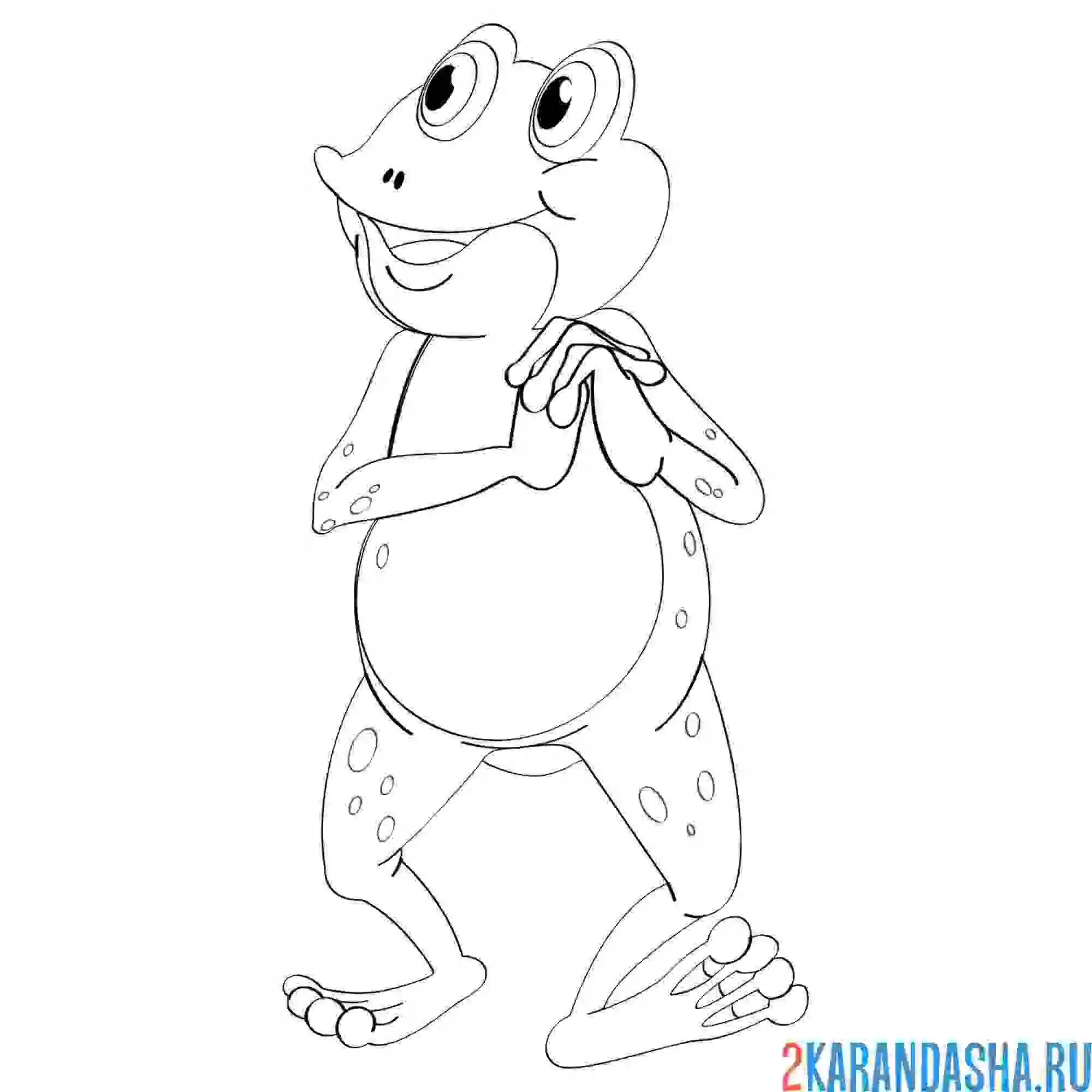 Раскраска лягушка путешественница