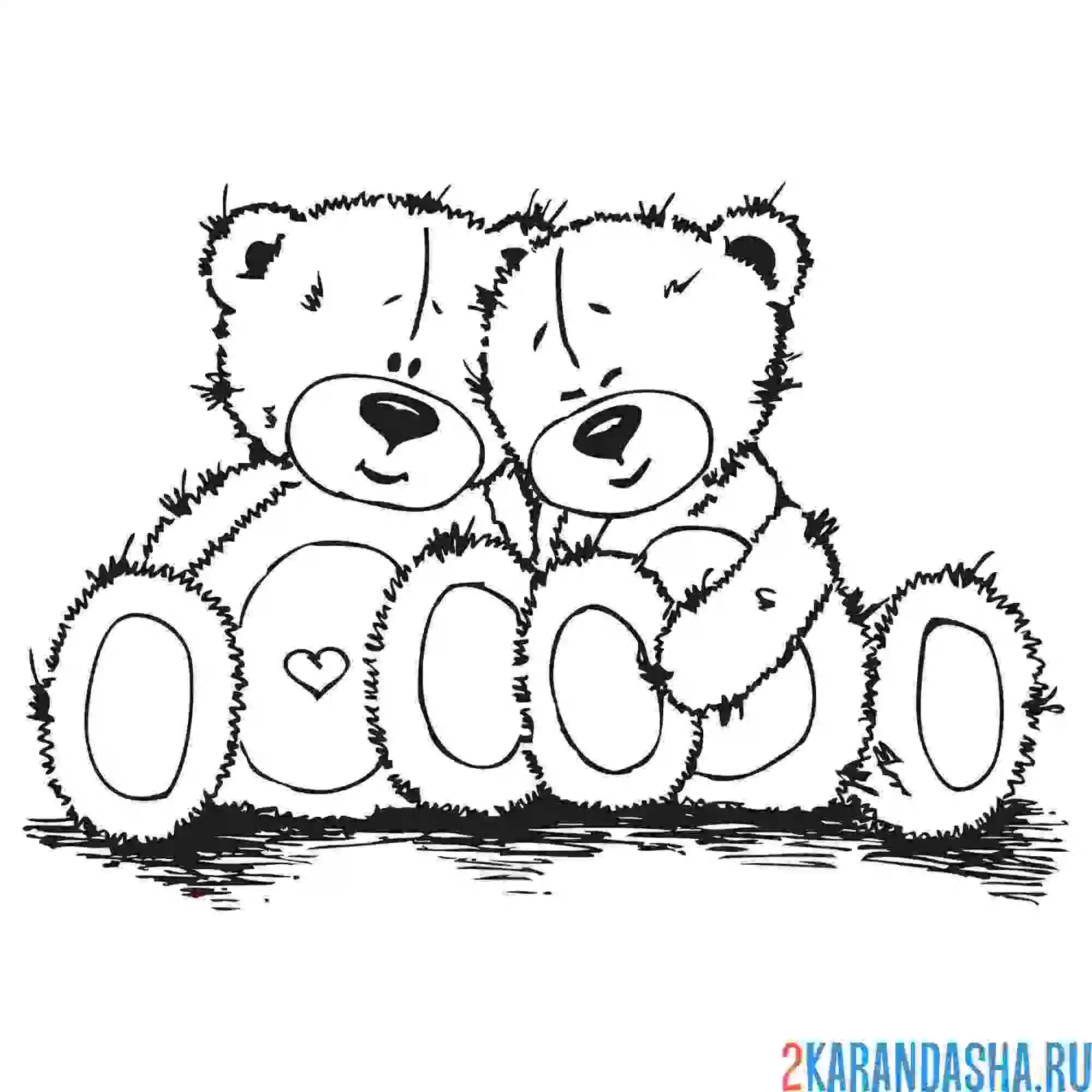 Раскраска два медведя тедди любовь
