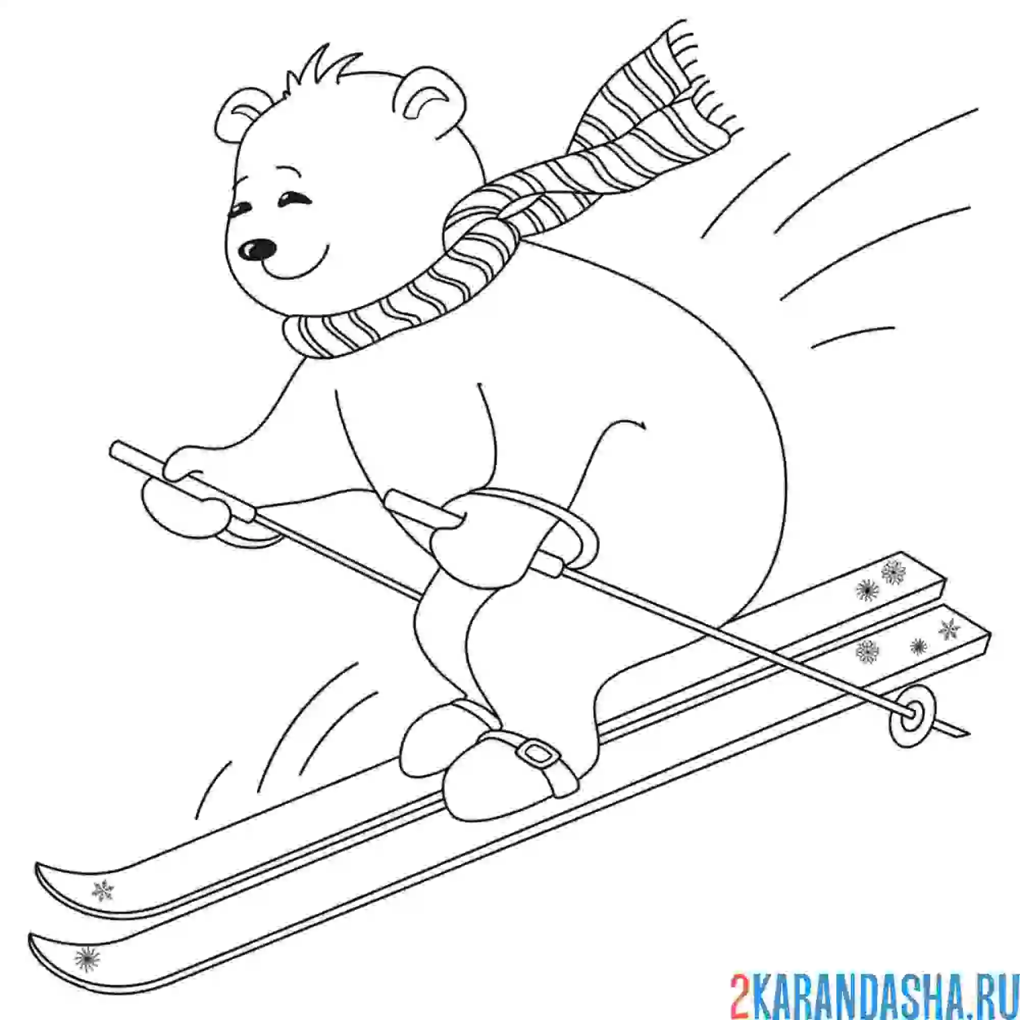 Раскраска медведь на лыжах