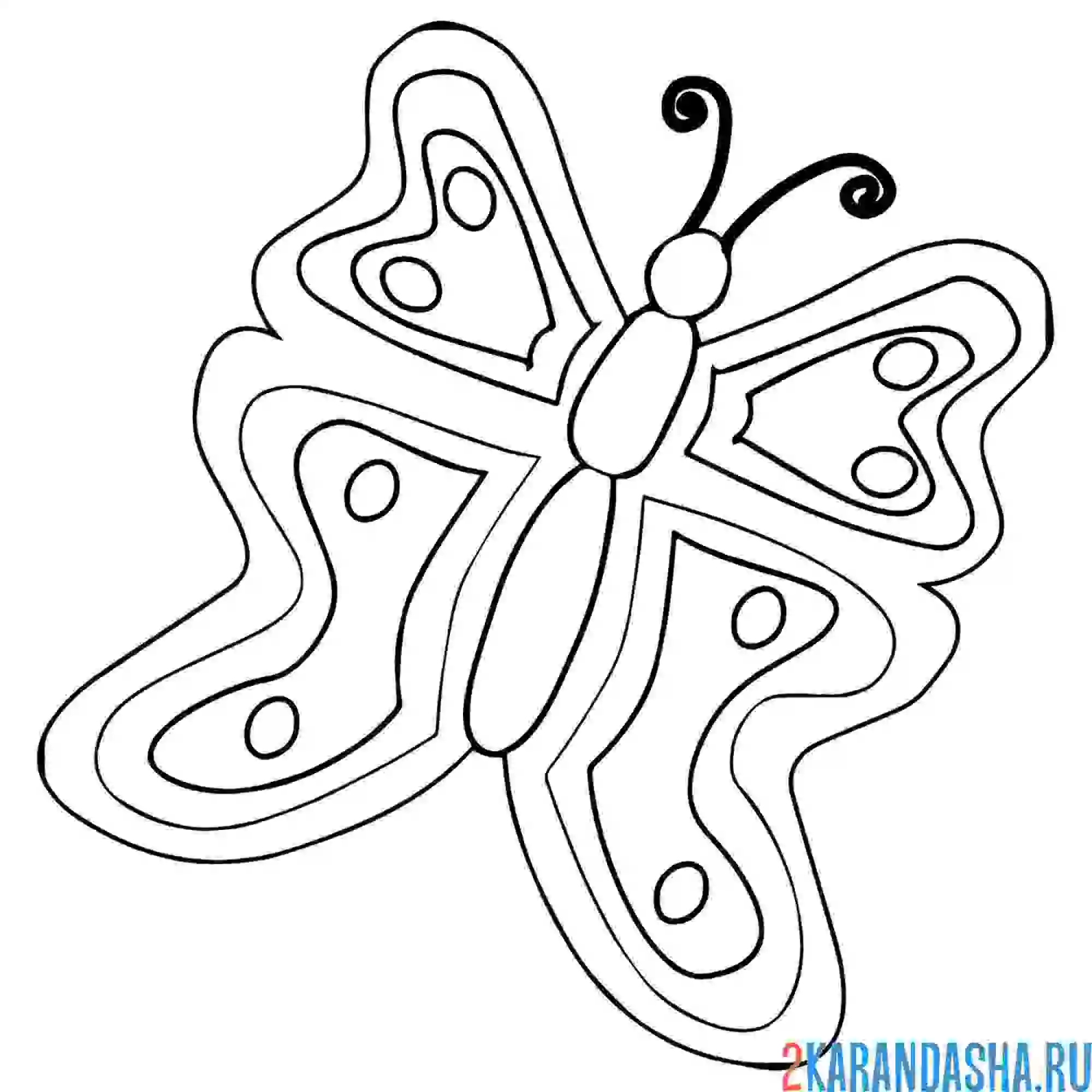 Раскраска бабочка простая