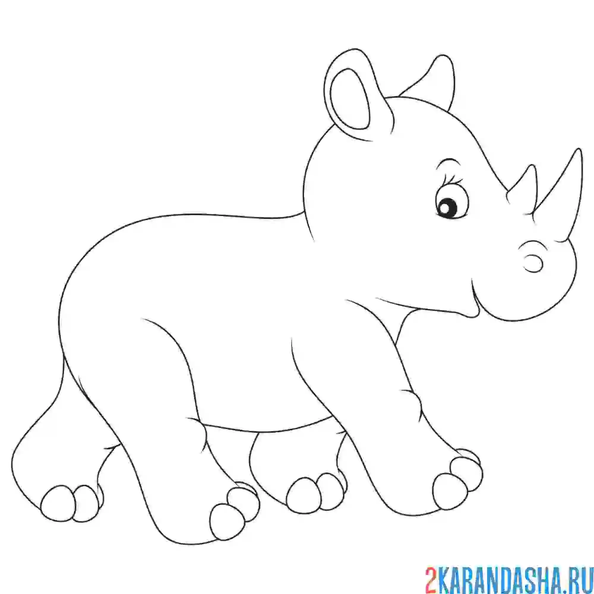 Раскраска идущий носорог