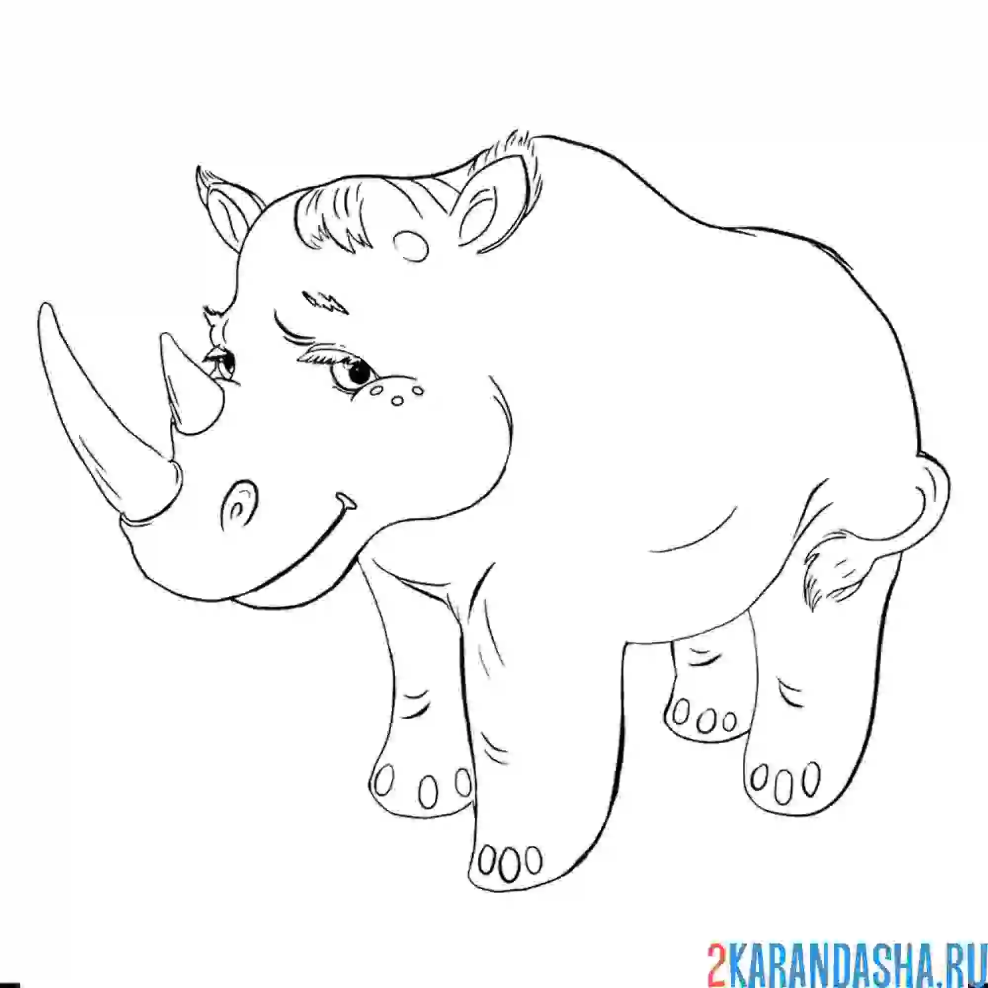 Раскраска грустный носорог