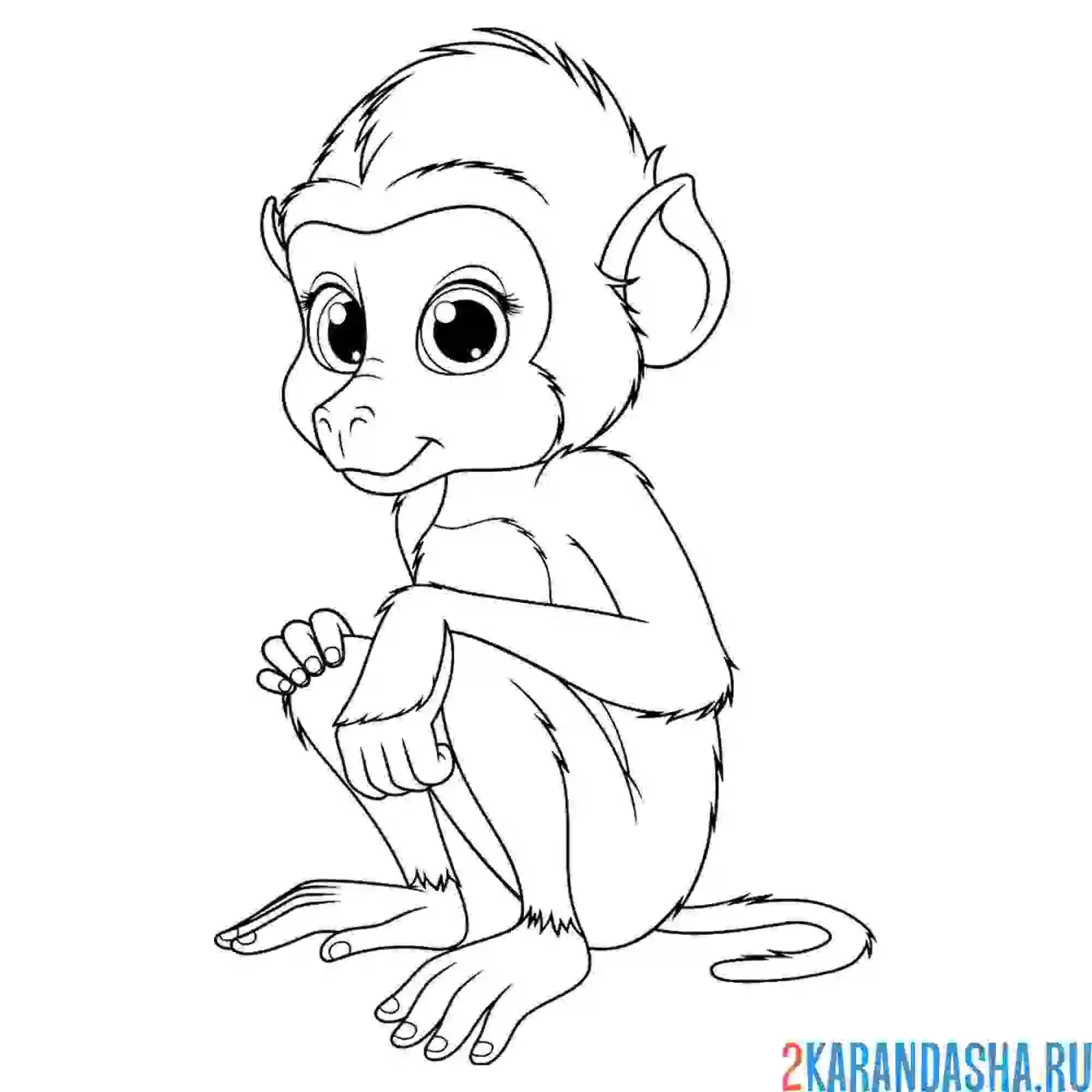 Раскраска милая обезьянка