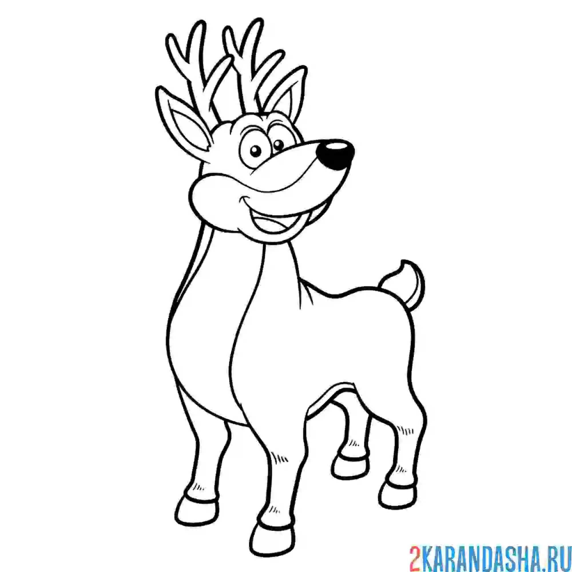 Раскраска красивый олень