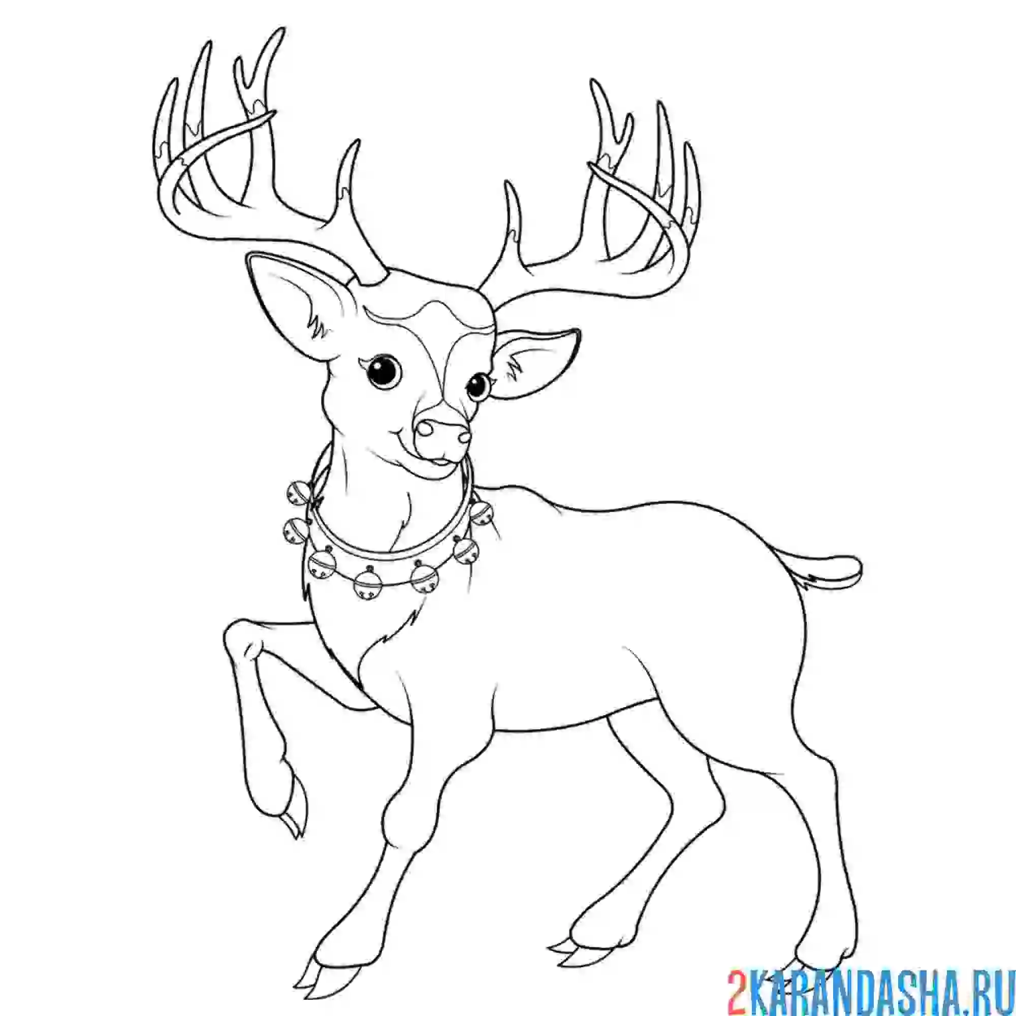 Раскраска новогодний олень