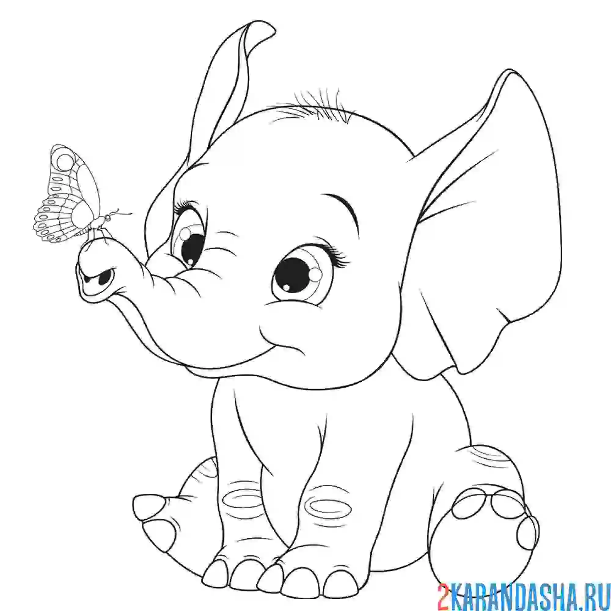 Раскраска красивый слоненок с бабочкой