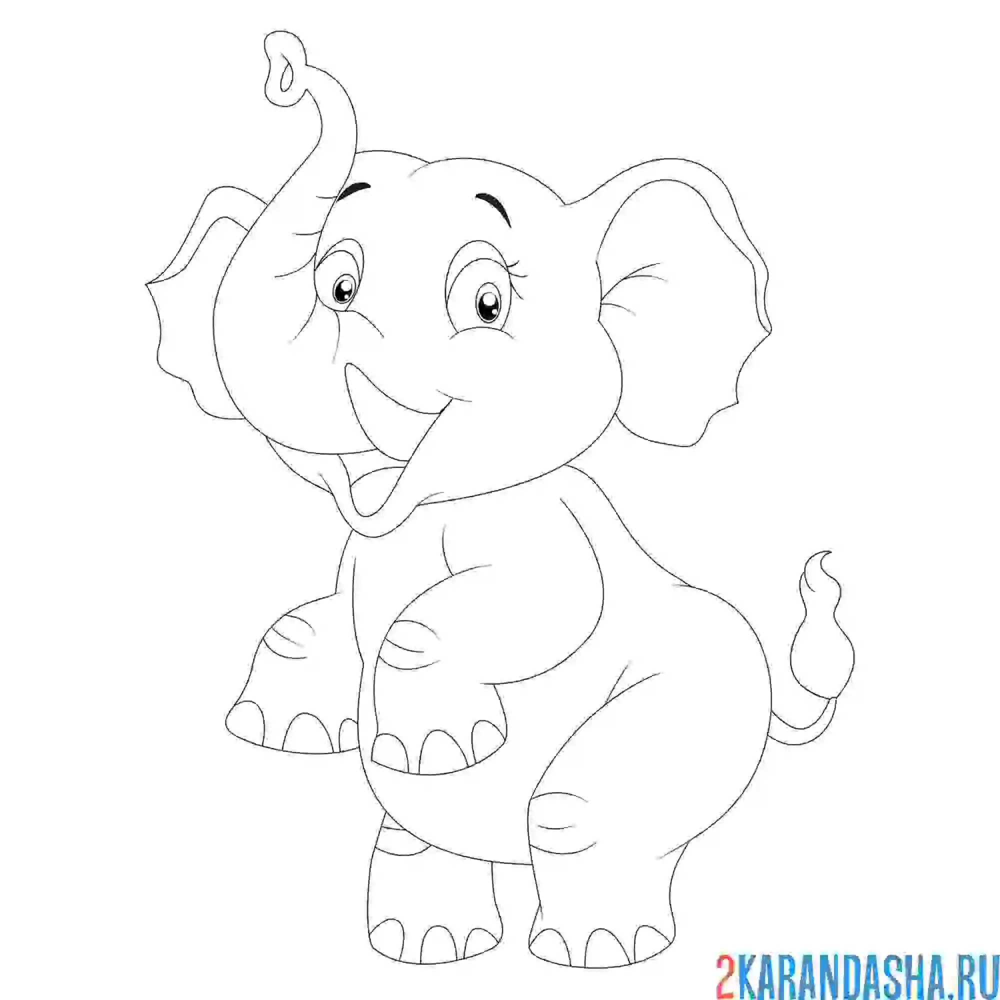 Раскраска индийский слон